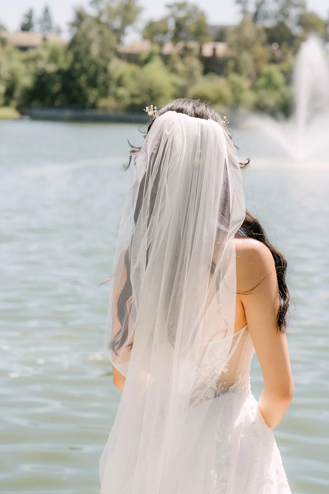 Clarissa in her cathedral veil facing the lake and fountain at Mason Regional Park
