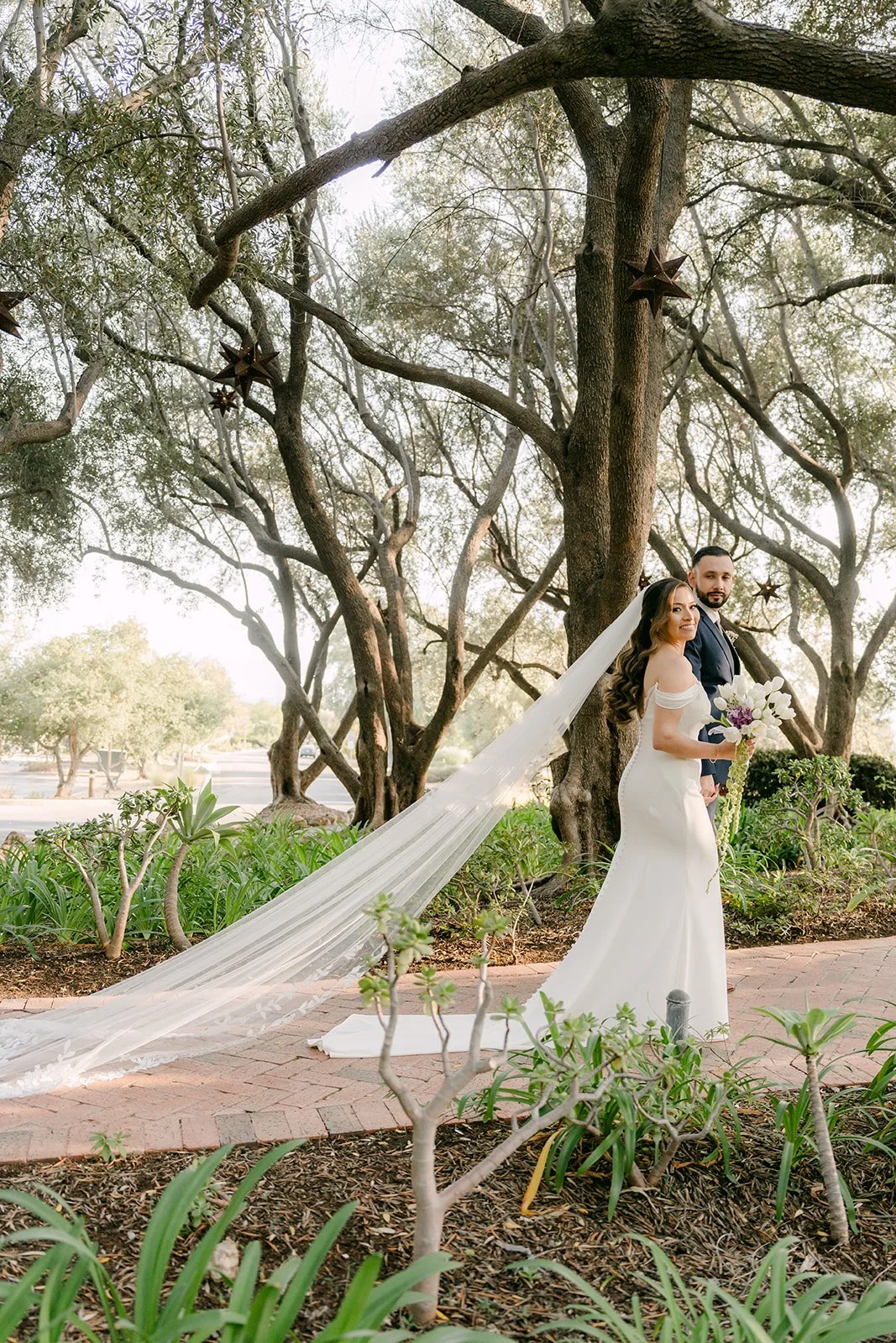 Wide view of the couple beneath the olive canopy