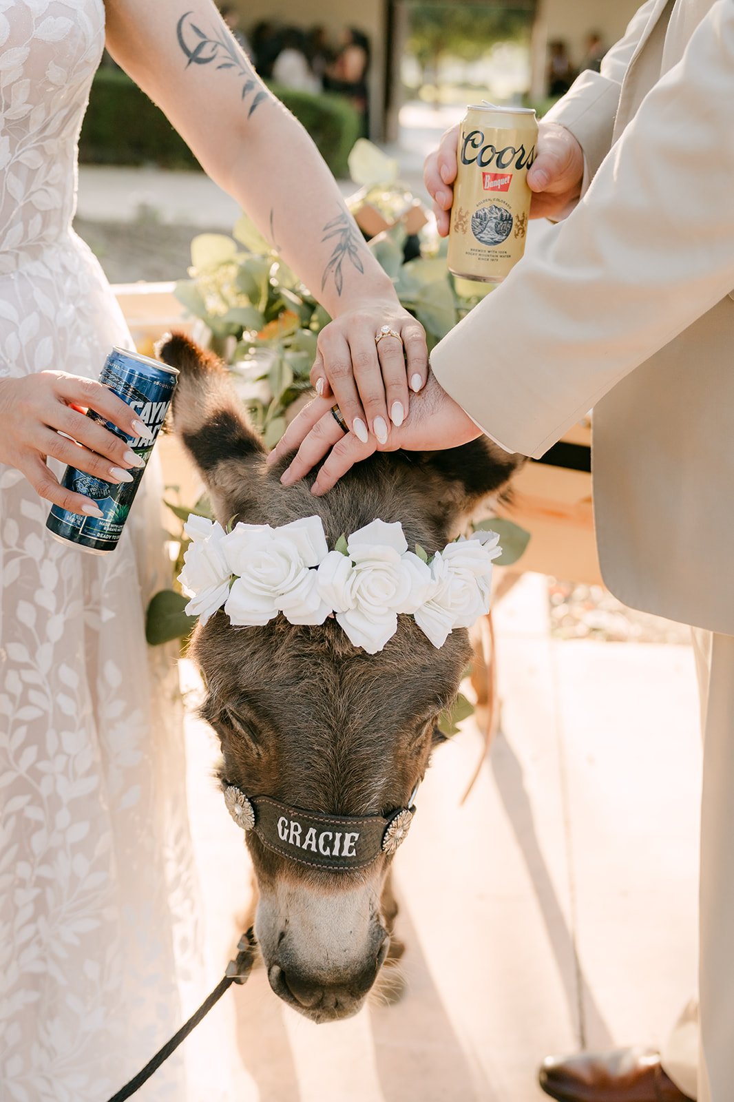 Fernanda and Cody petting the beer donkey, photographed by One and Only Production.