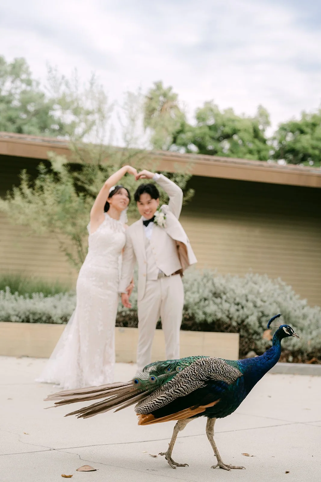 Elaine and Wen raising their arms into a heart as a peacock walks by.