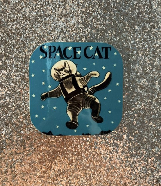 Space Cat Coaster