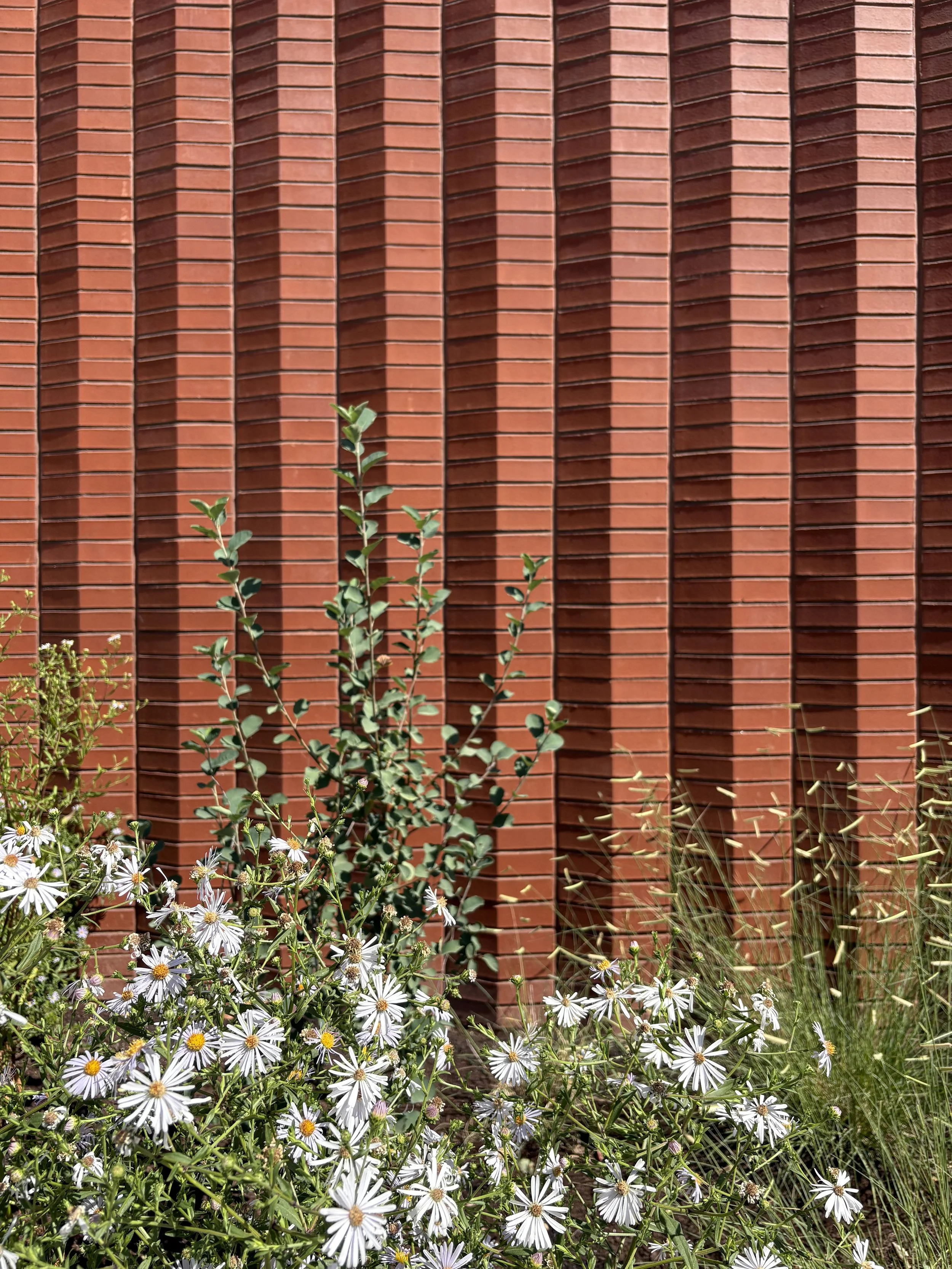 GROUND WORKSHOP_ALBINA LIBRARY_03.jpg