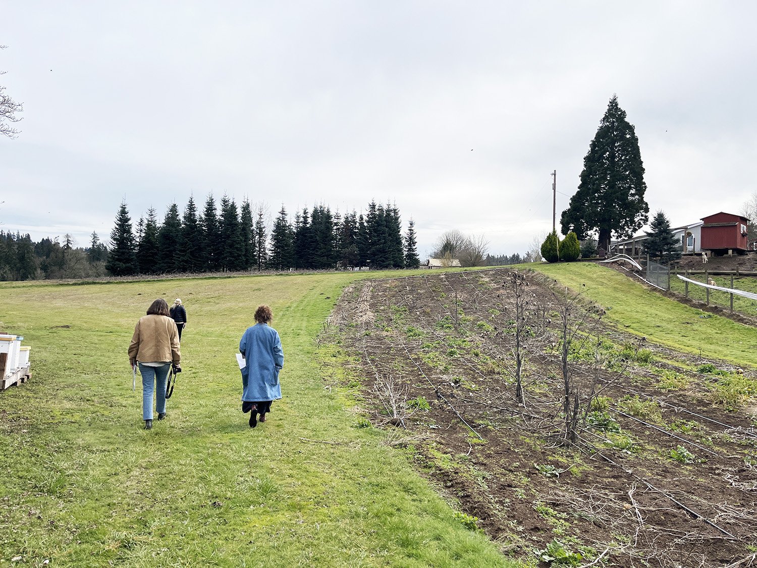 GROUND WORKSHOP_ULSKY FARM_02sm.jpg