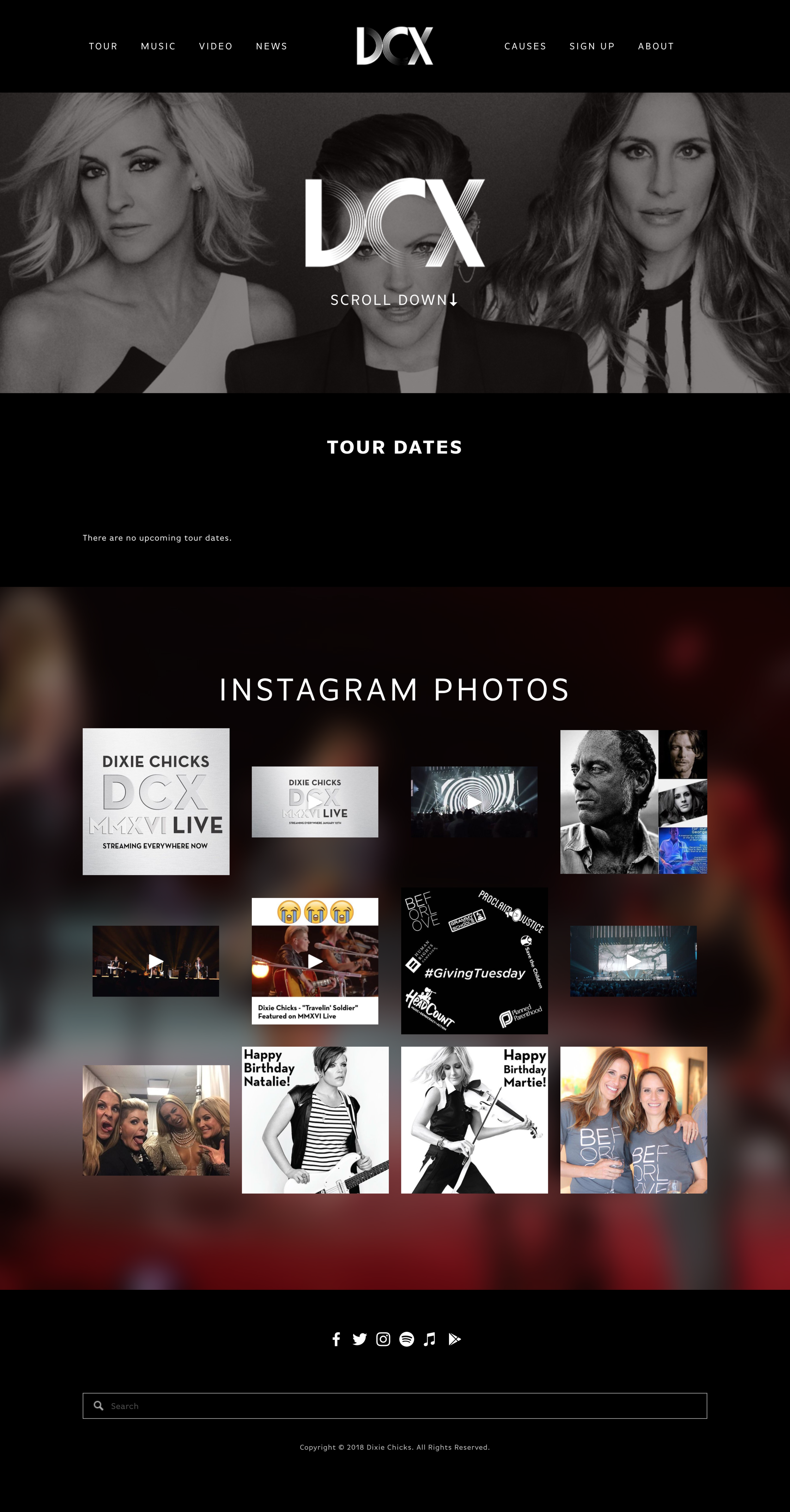 The Dixie Chicks Musician Website
