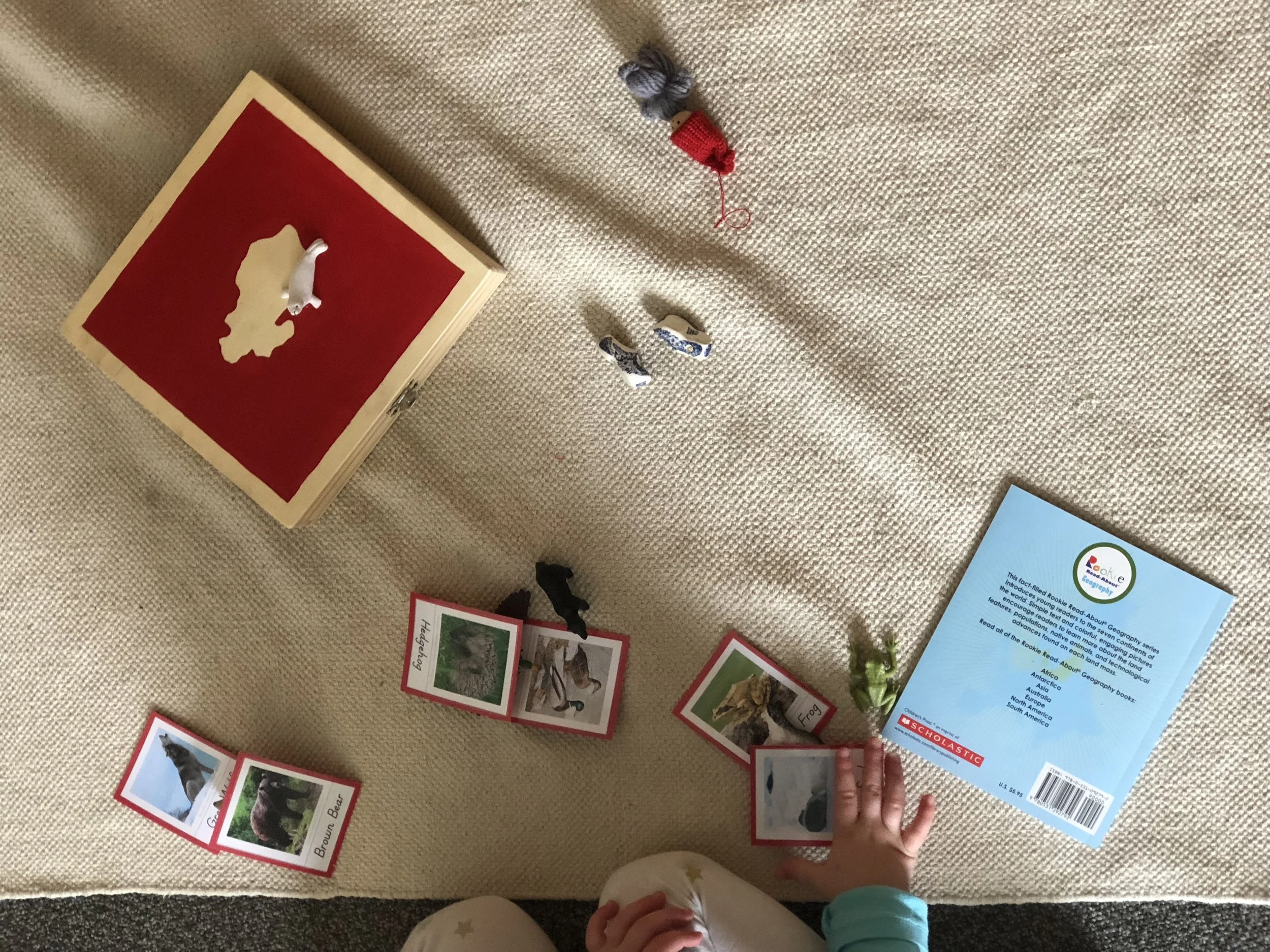  A view of some of the contents of the Europe box.  