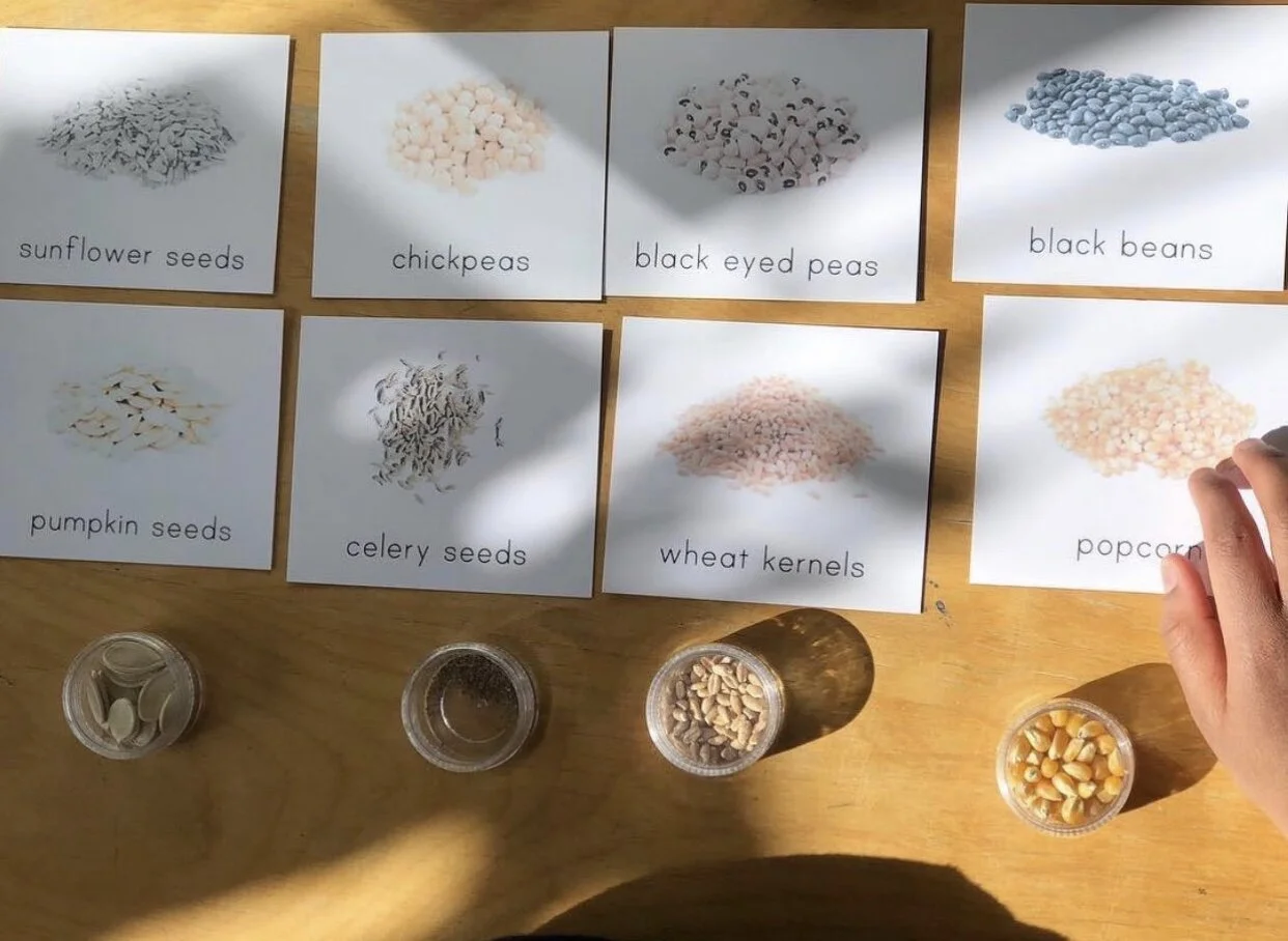 Seed Identification Cards