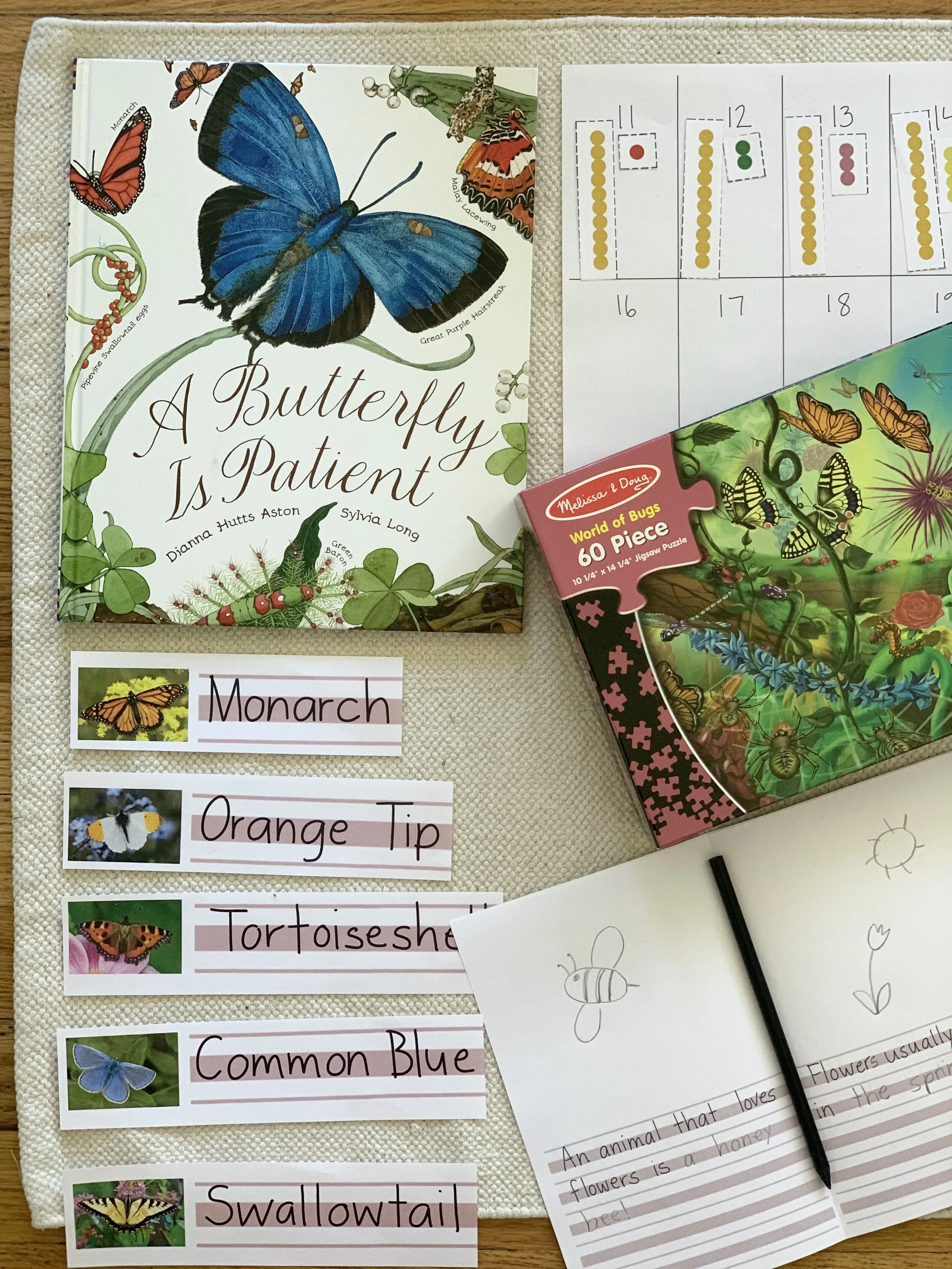 Butterfly Scavenger Hunt