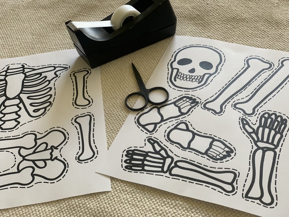 large printable skeleton parts