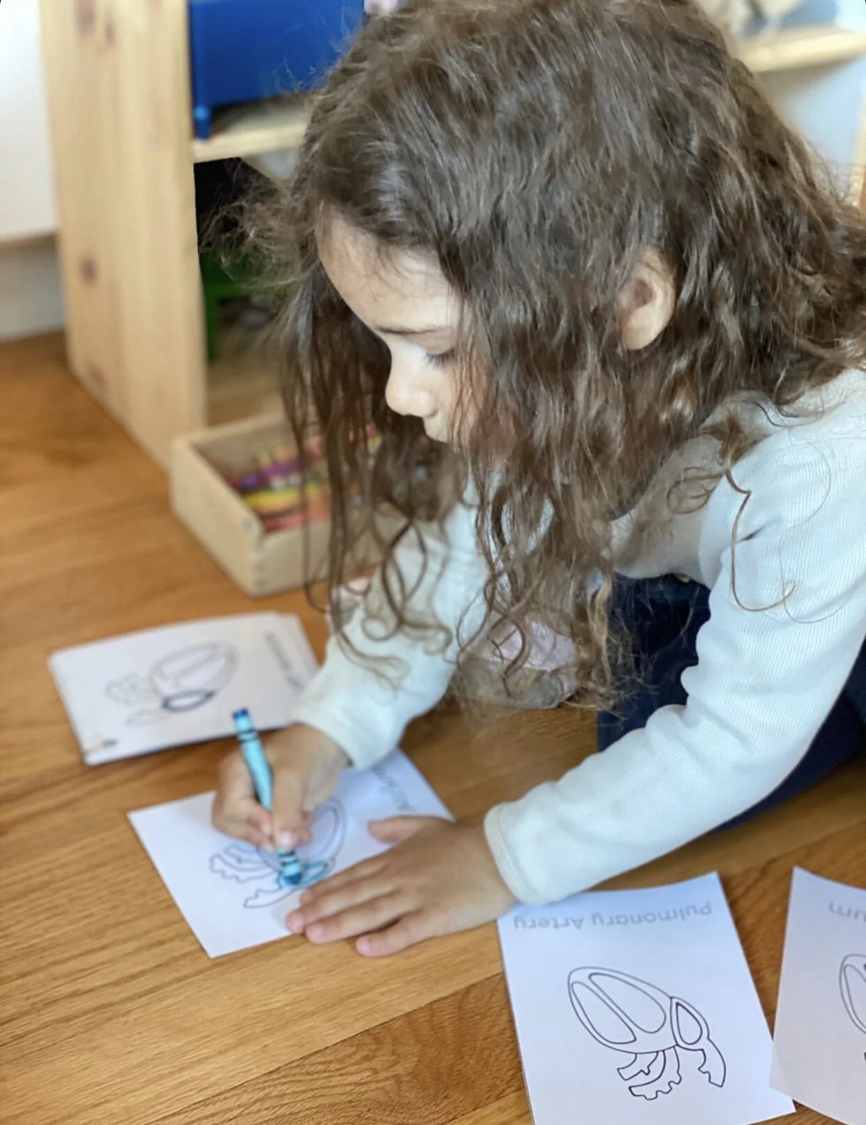 534EC5C4-6462-4D3D-9BDC-DF8748FF0B7D