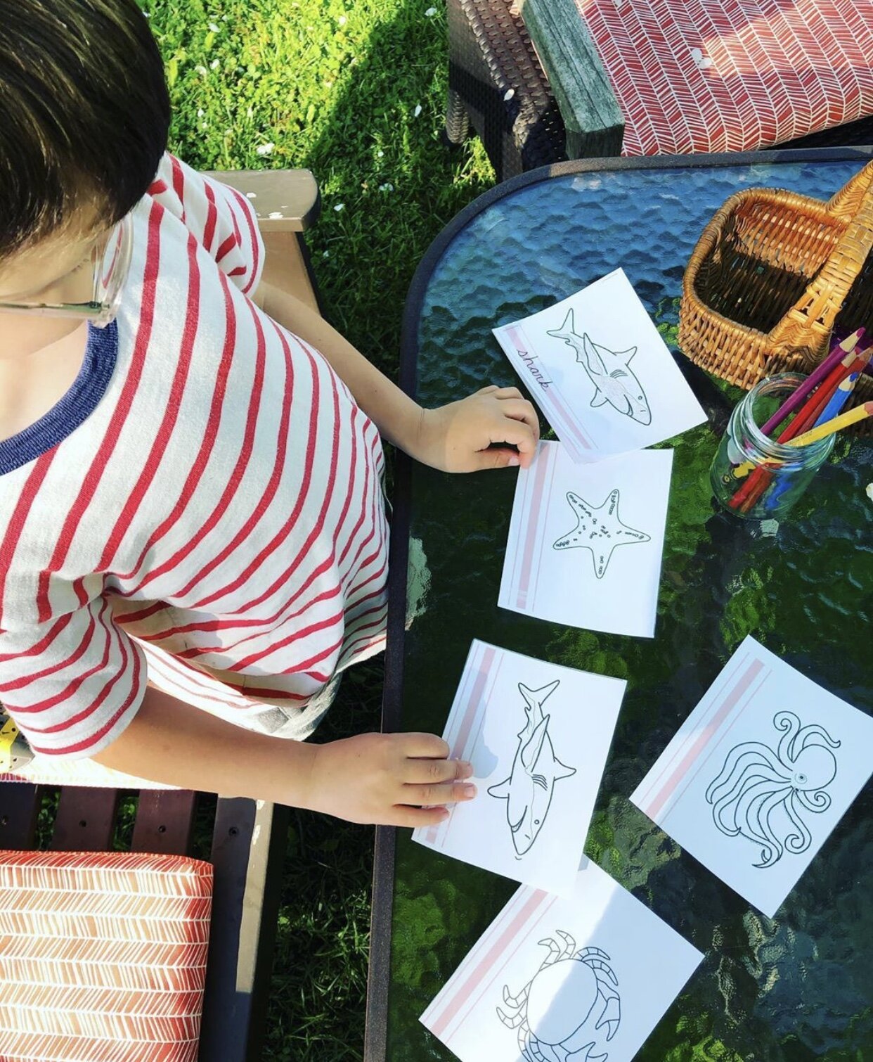 Ocean Animal Booklet