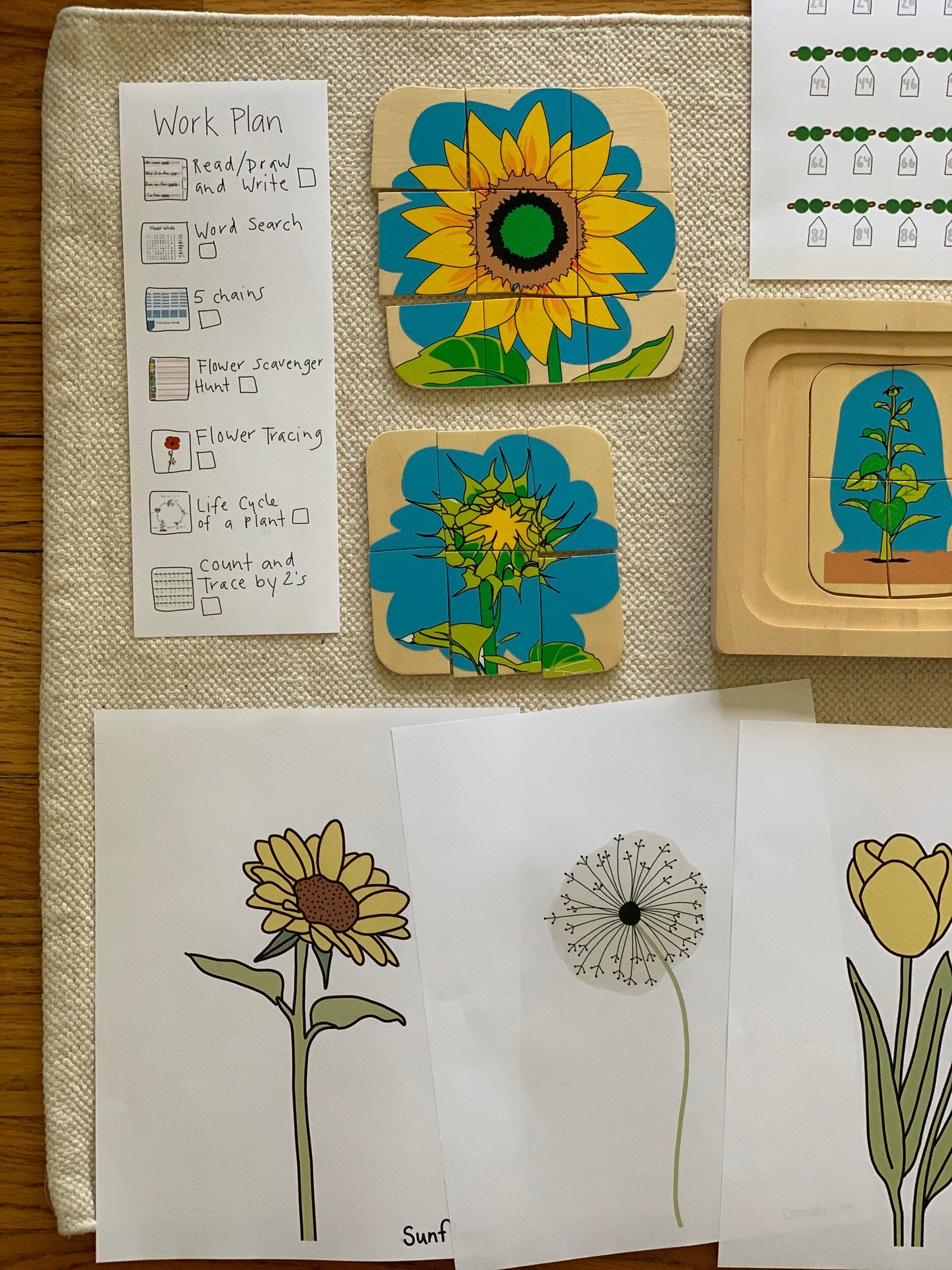 AED209C3-CCE8-440B-BE9E-158882309572