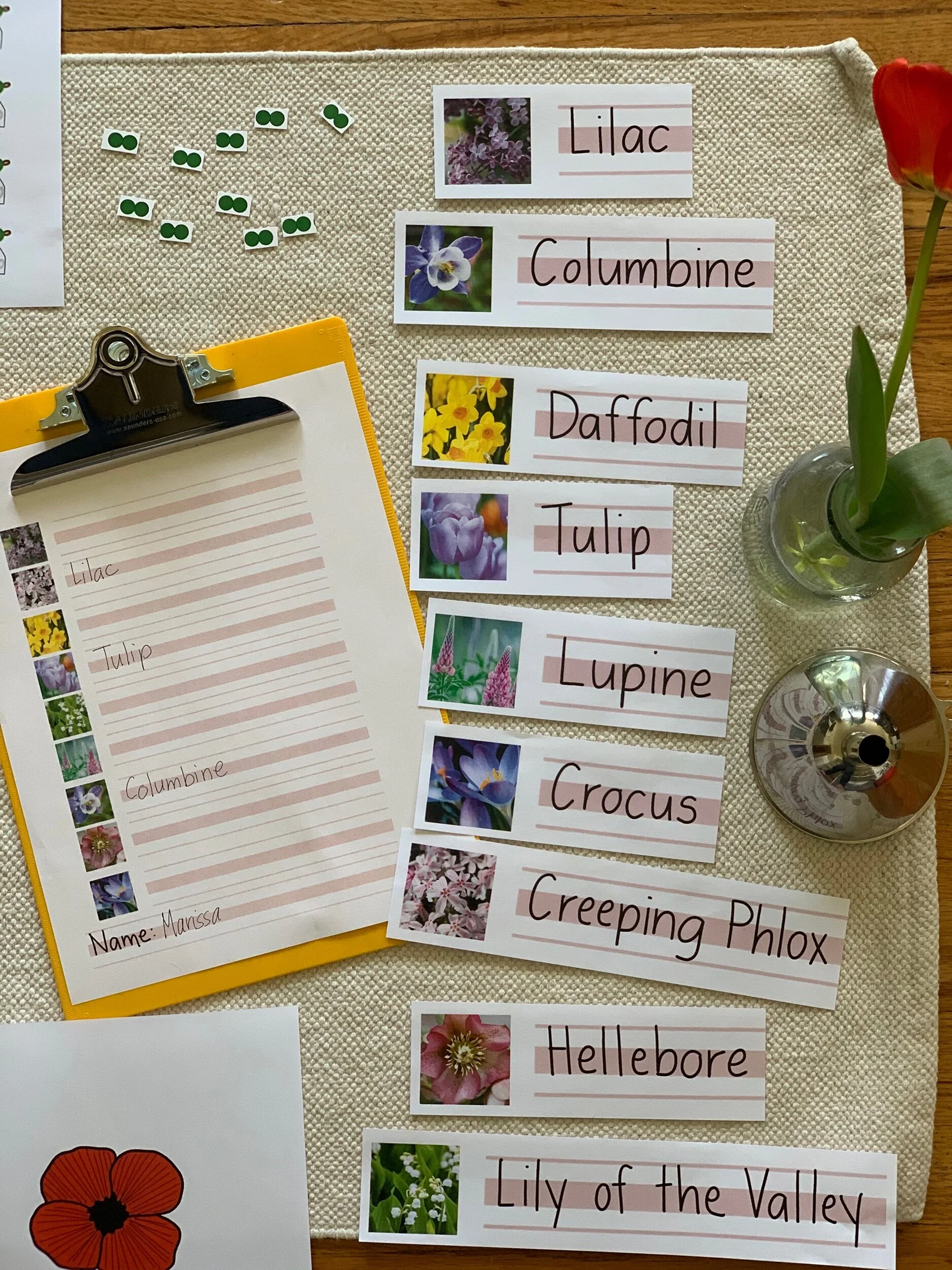 CBE1B1E4-D079-401E-8082-9F6CA218F13E