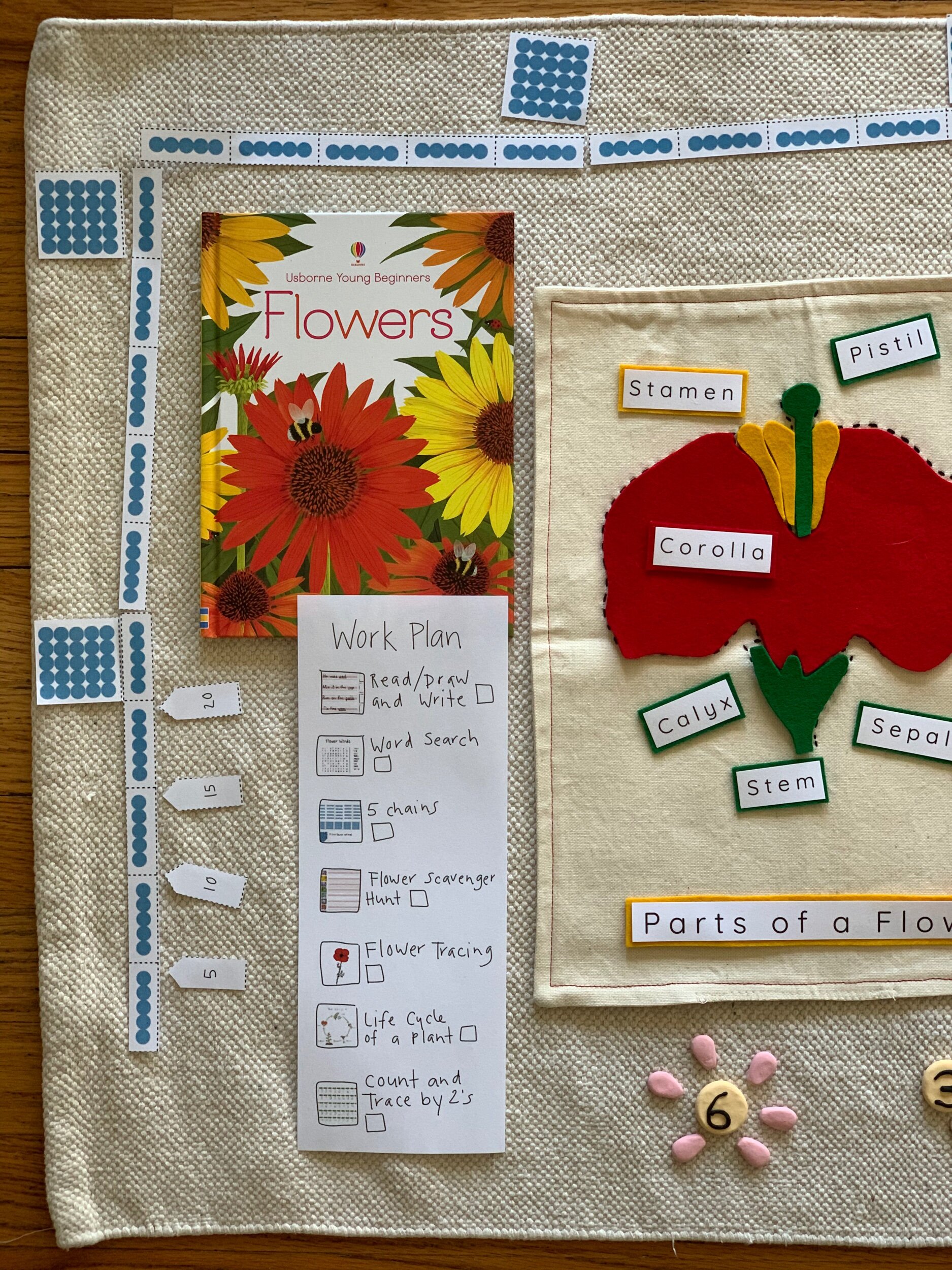 C7B1C0CB-8642-4E39-B88E-665A0DF0634F