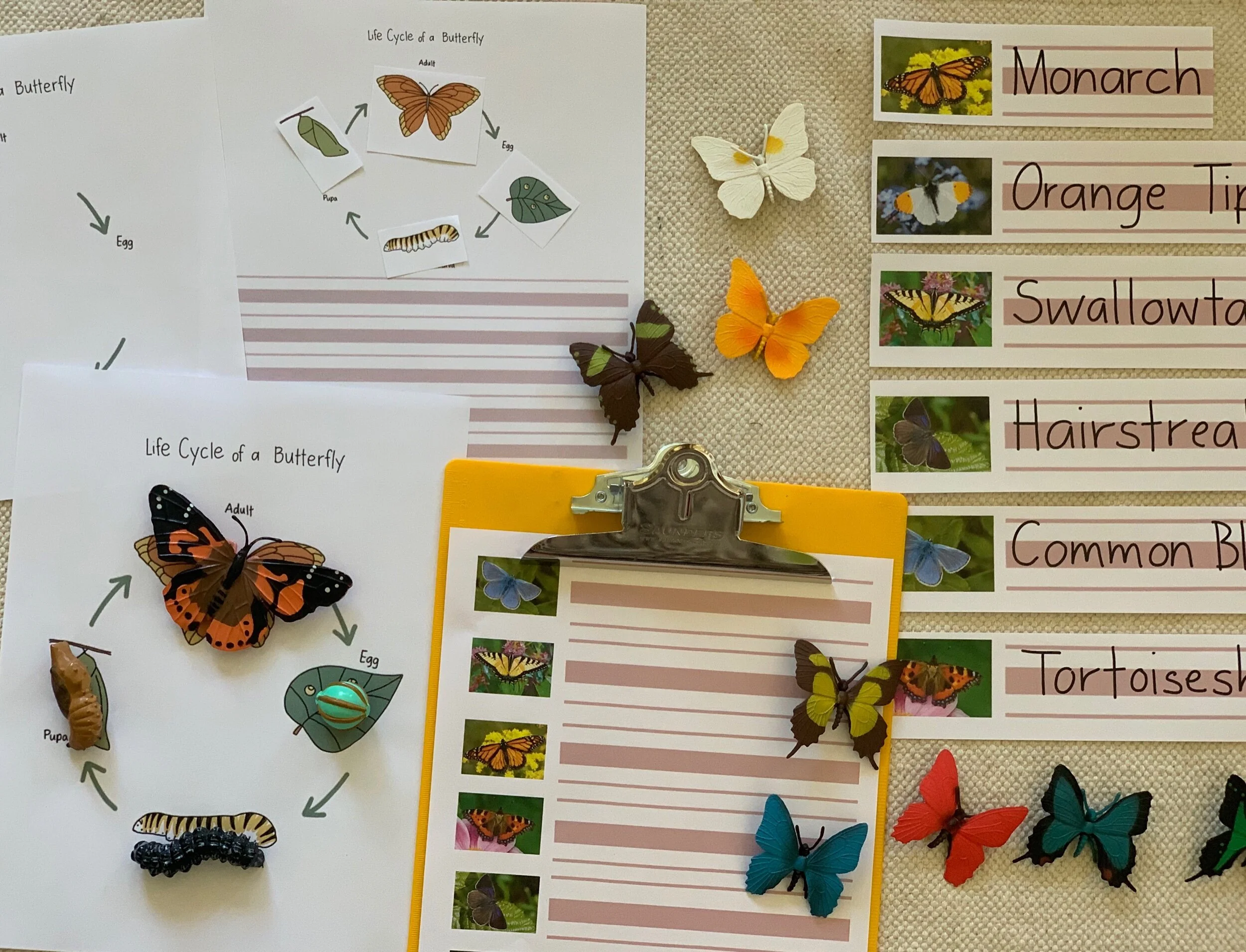 73B5C025-F262-4522-A2E8-999F44F3936D