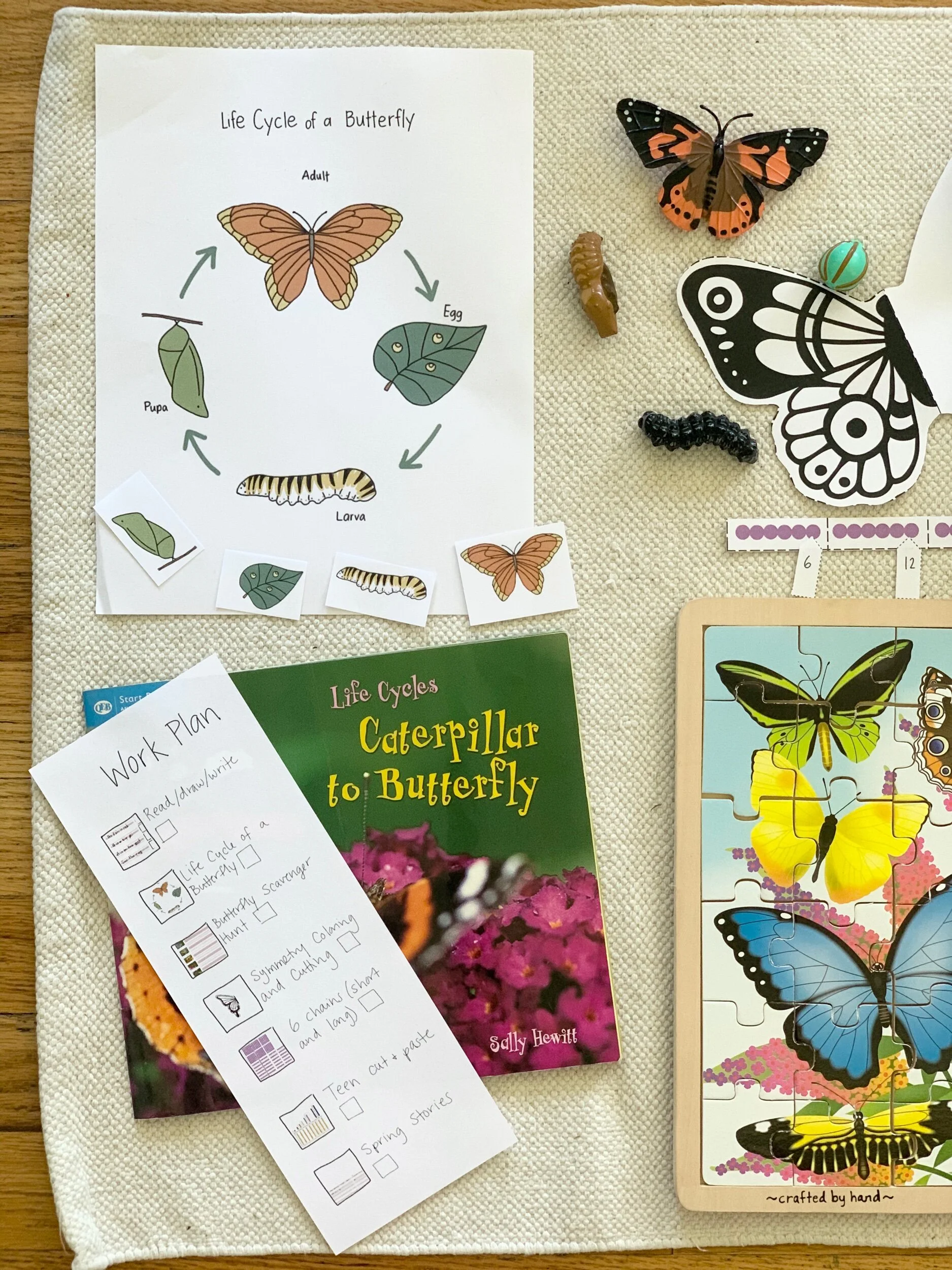 084DFBE4-0279-4258-94A3-FCD9CC30F6C7