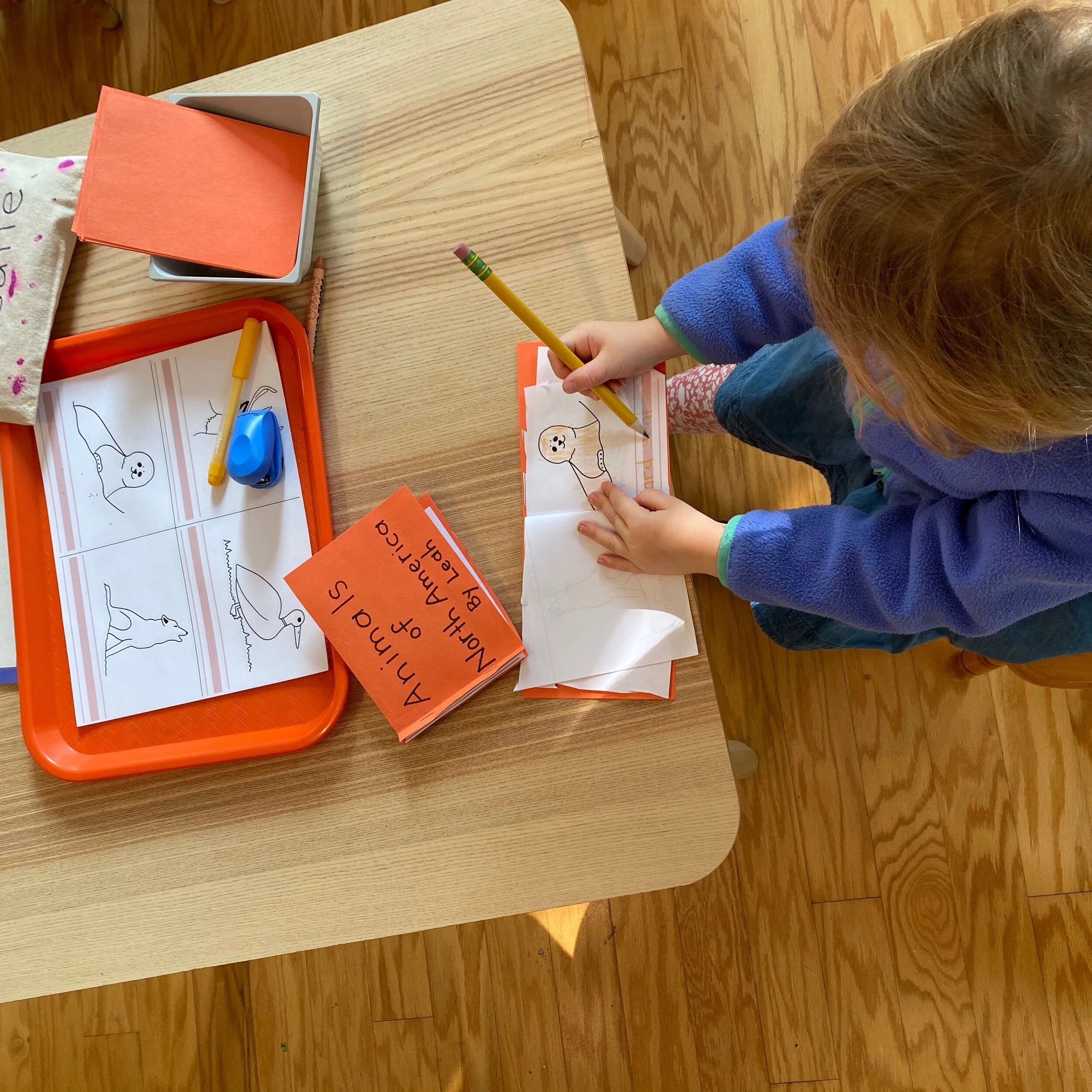 DAEF409D-835A-4E47-AD27-98BA103BD9A8