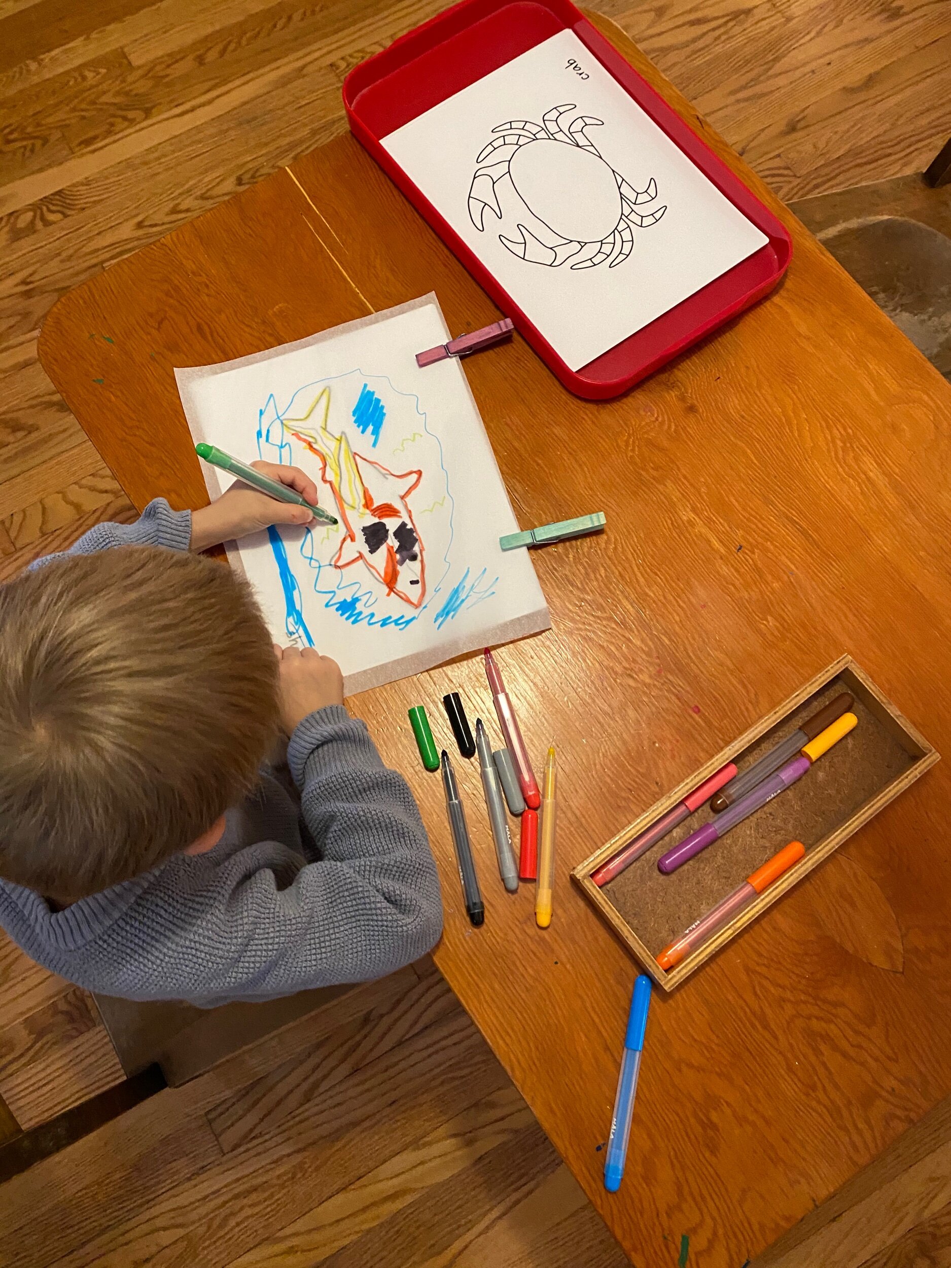 Ocean Animal Tracing