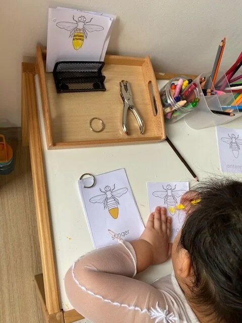 6AD43512-279B-4EBE-8F2A-590FD79943AE