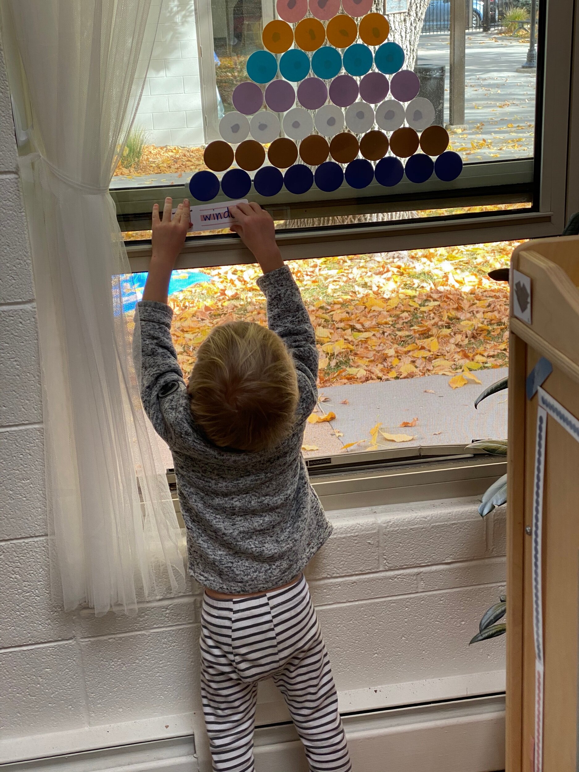 8E2C2C83-FB24-4813-82FE-DB0D70204DE1