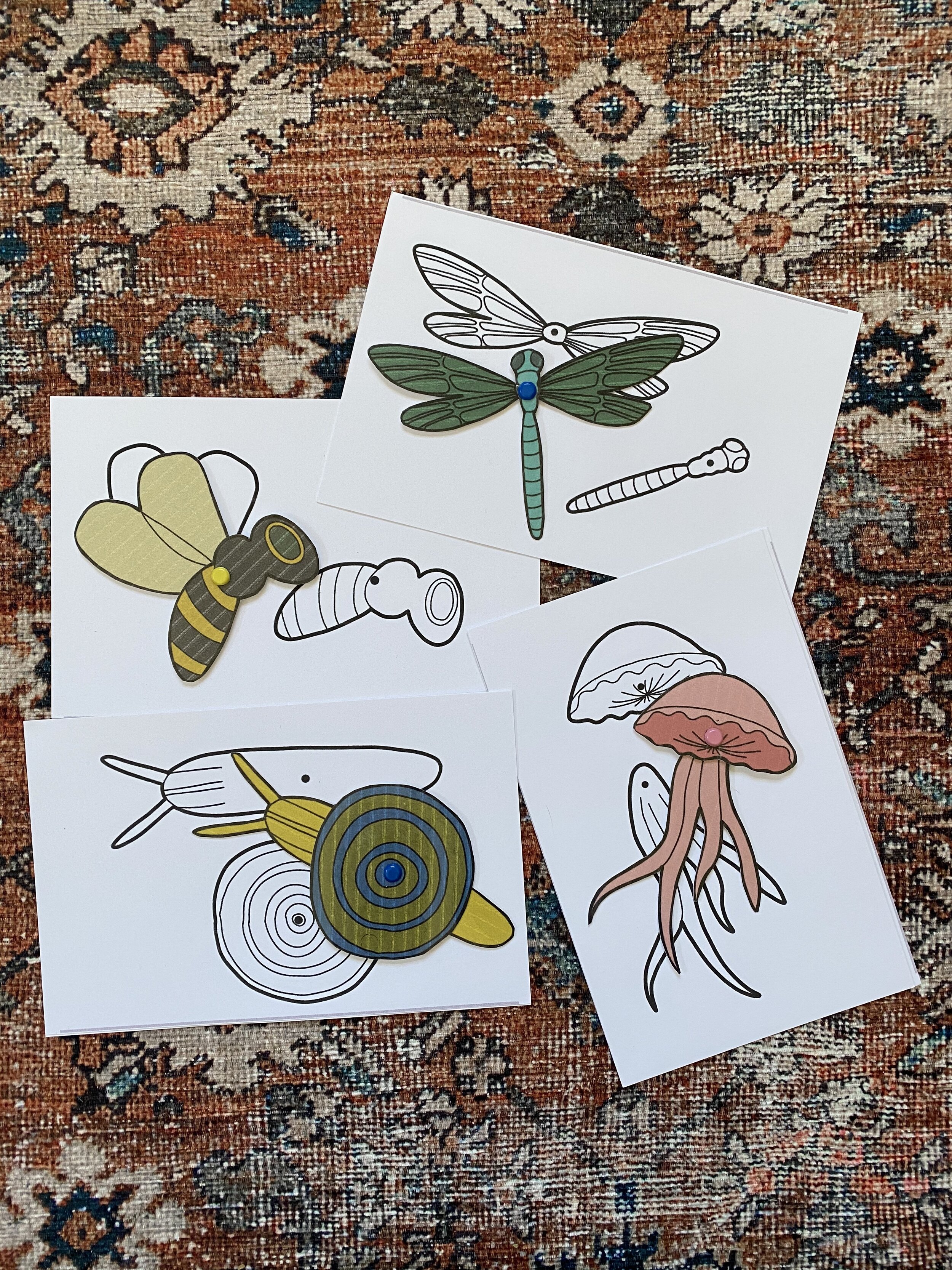 Invertebrate Movable Animals