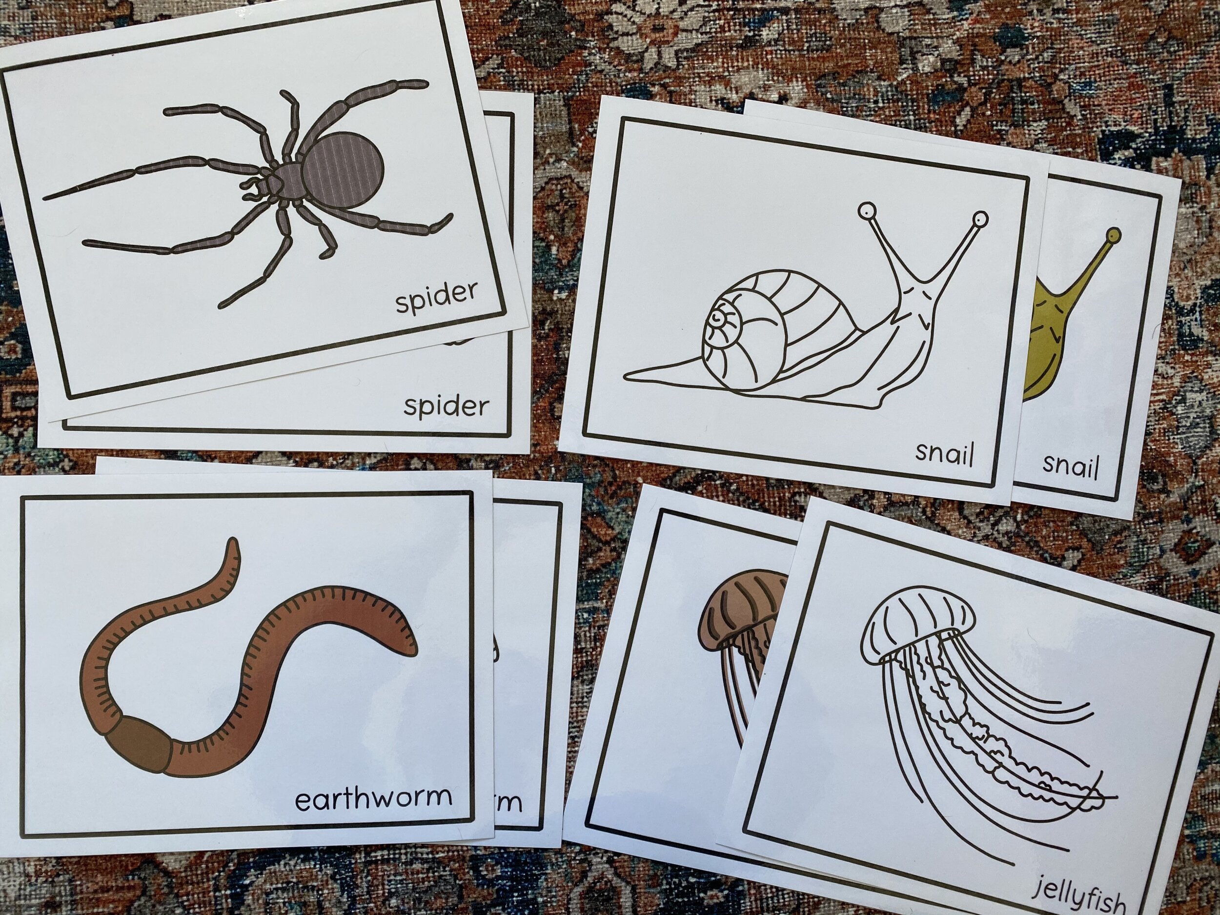 Invertebrate Tracing