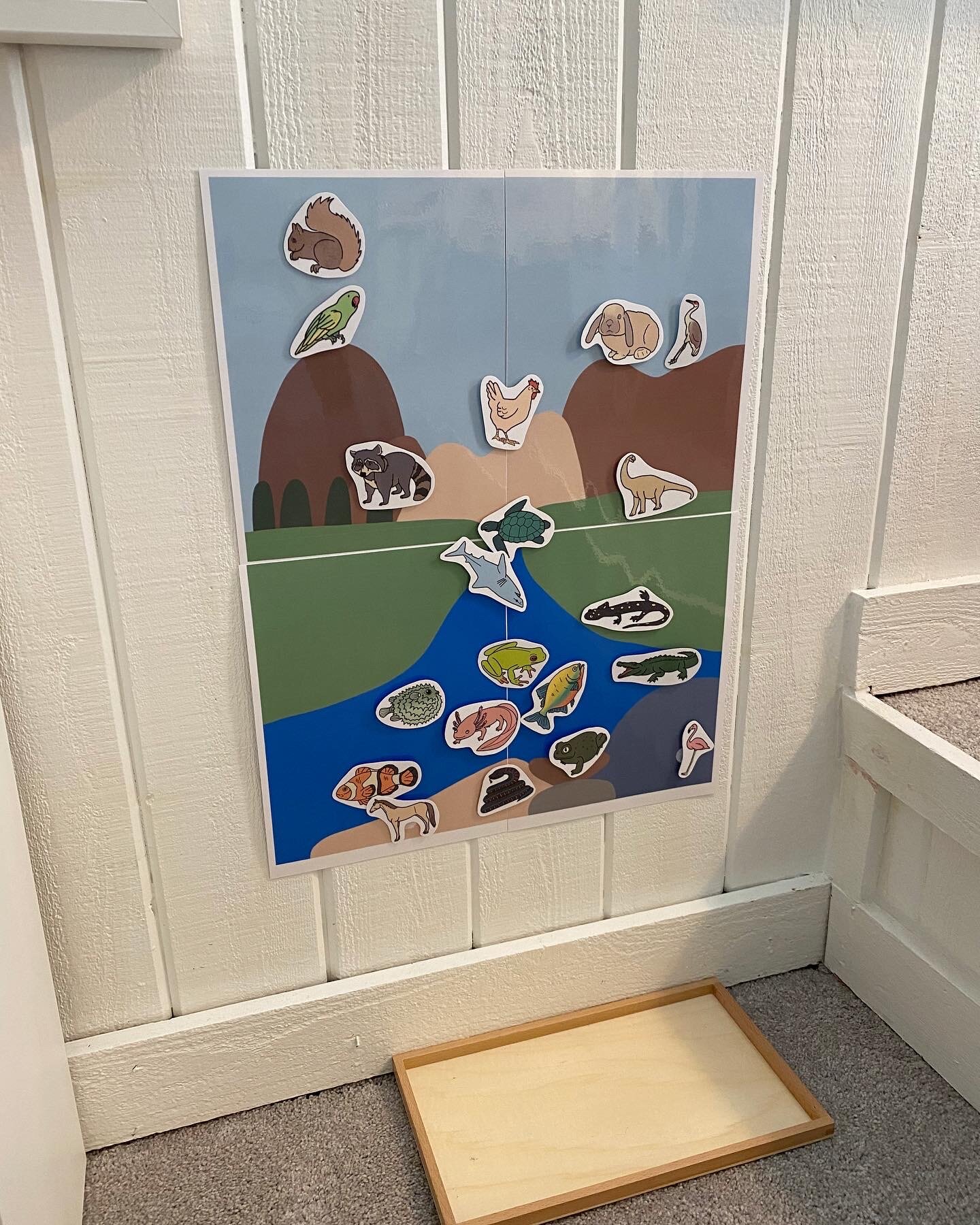 Land, Air and Water Vertebrate Sorting Cards