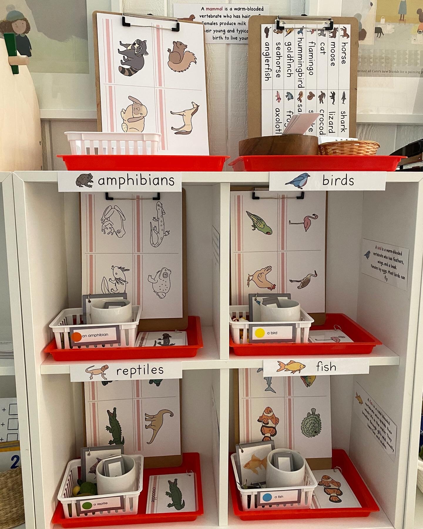 Vertebrate Little Books