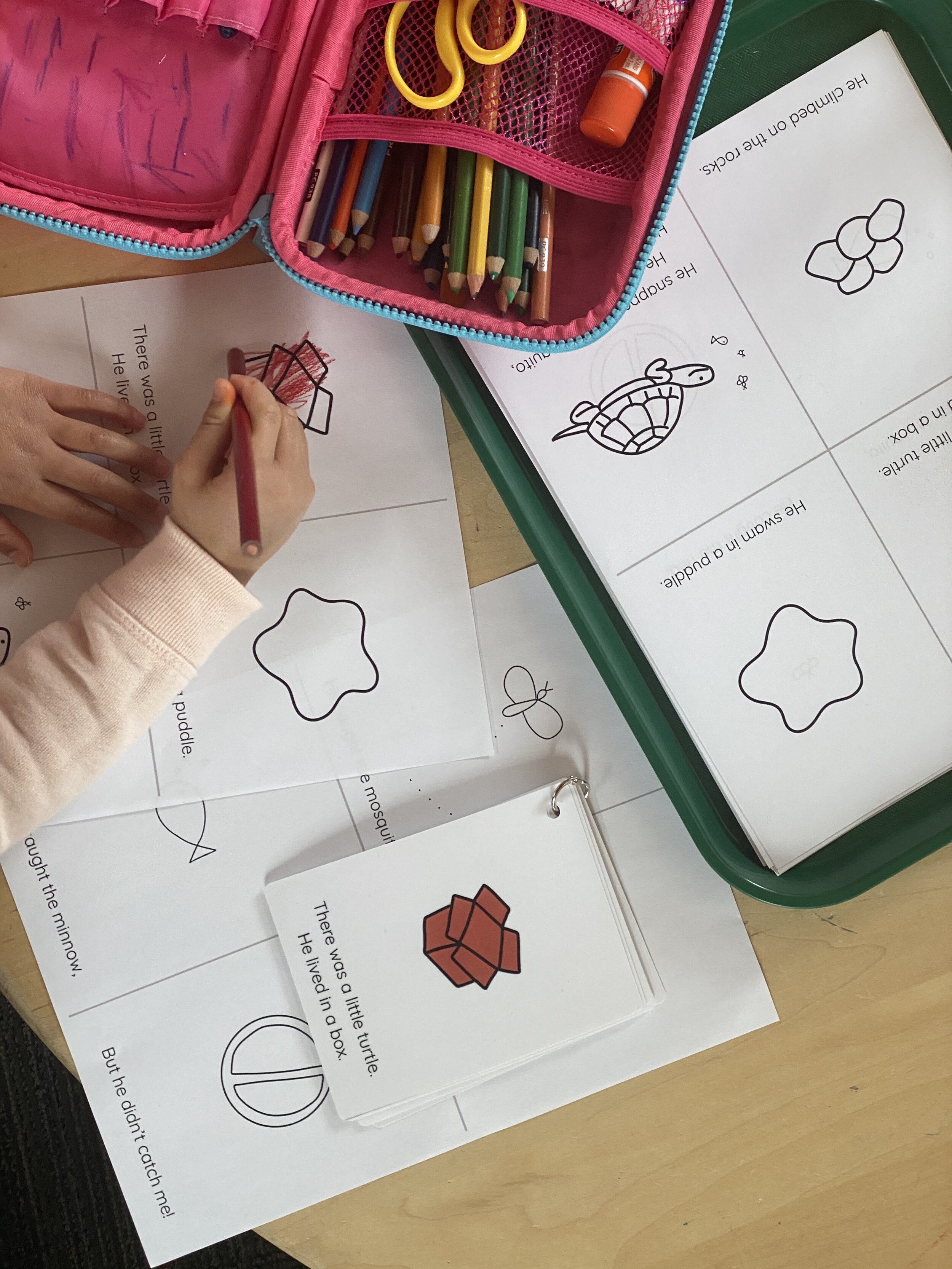 There Was a Little Turtle Booklet