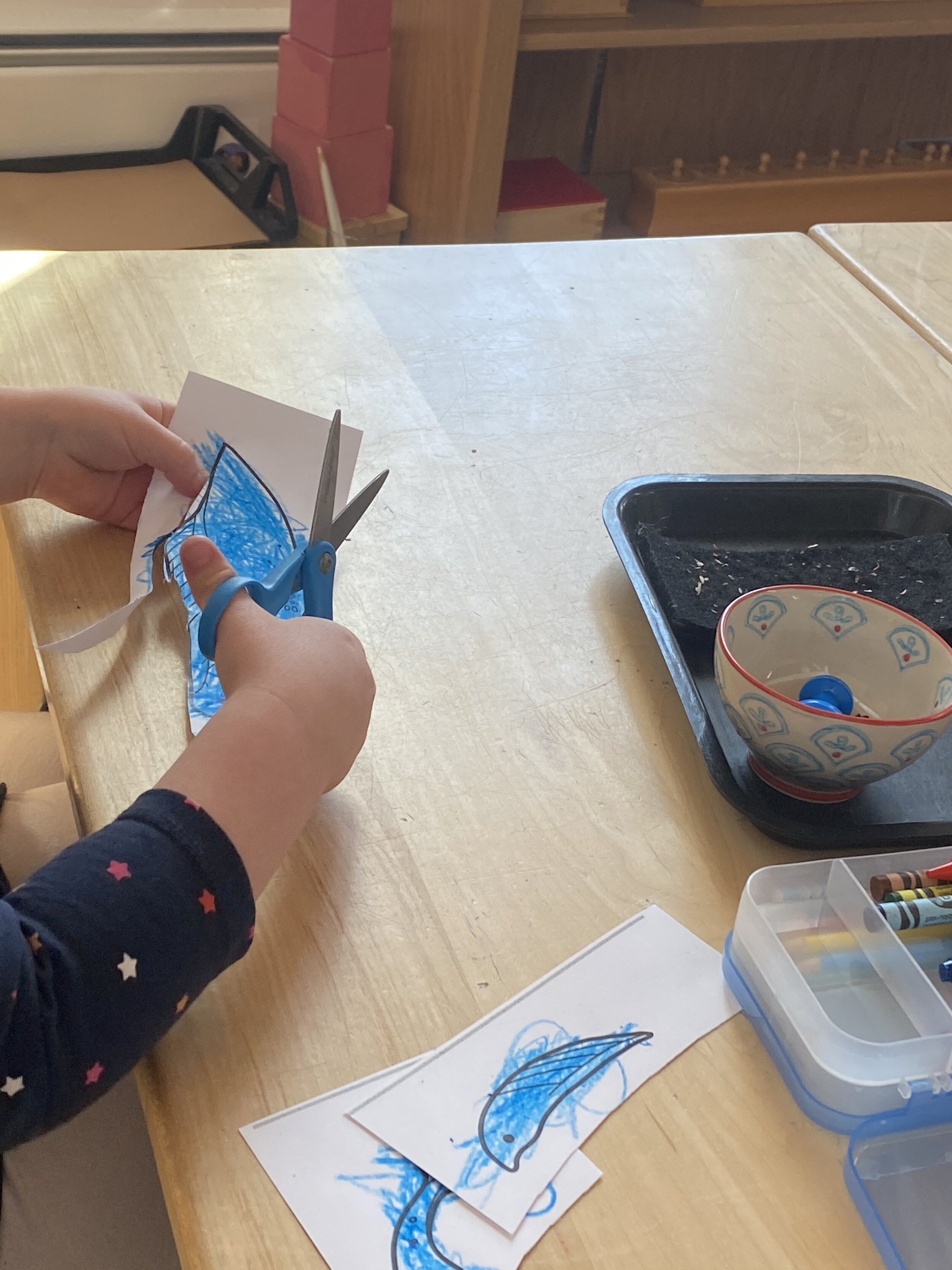 Vertebrate Movable Animals