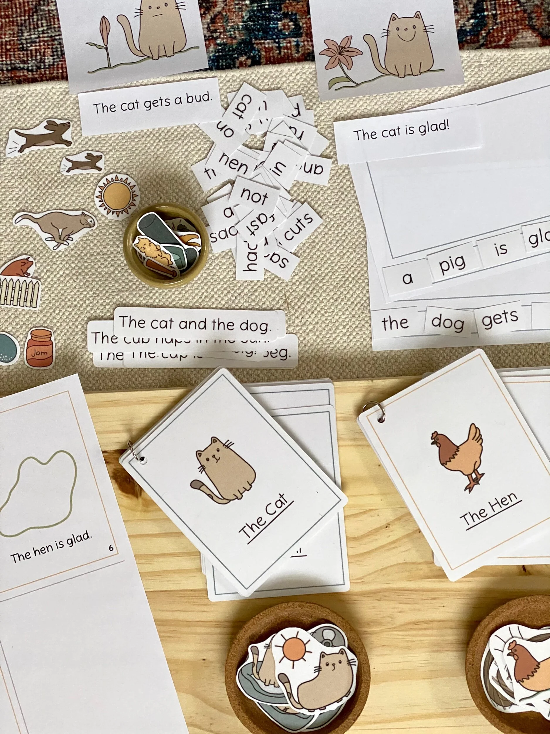 5C70A42B-D792-480F-A80C-3BE21F7AA223