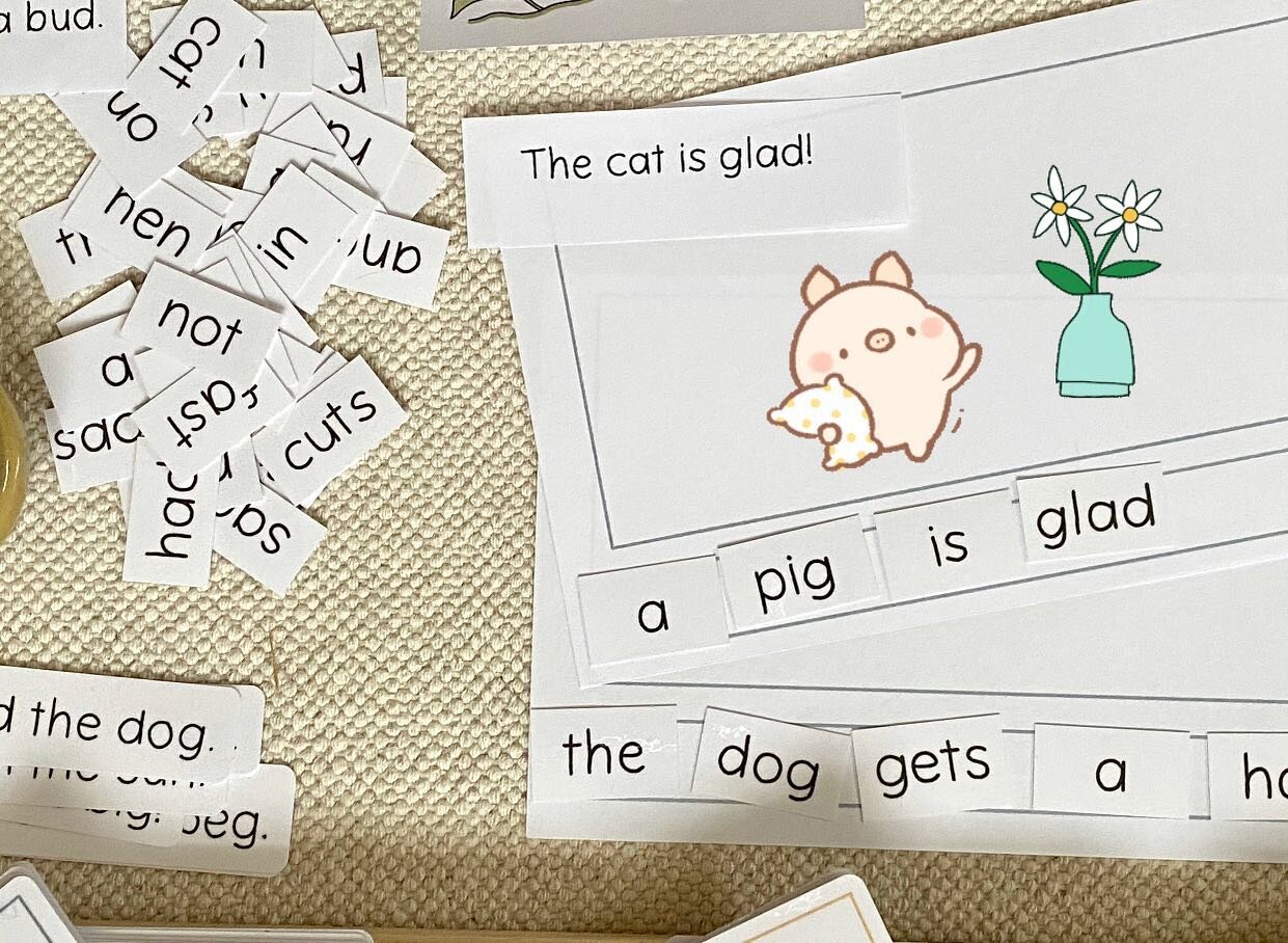 I&rsquo;m feeling pretty excited to use these Sentence Puzzles! It will be such a fun challenge to push my beginning readers to the next level. ⁣
⁣
They&rsquo;ll have to read all the words and decide which they want to use to make a sentence. All my 
