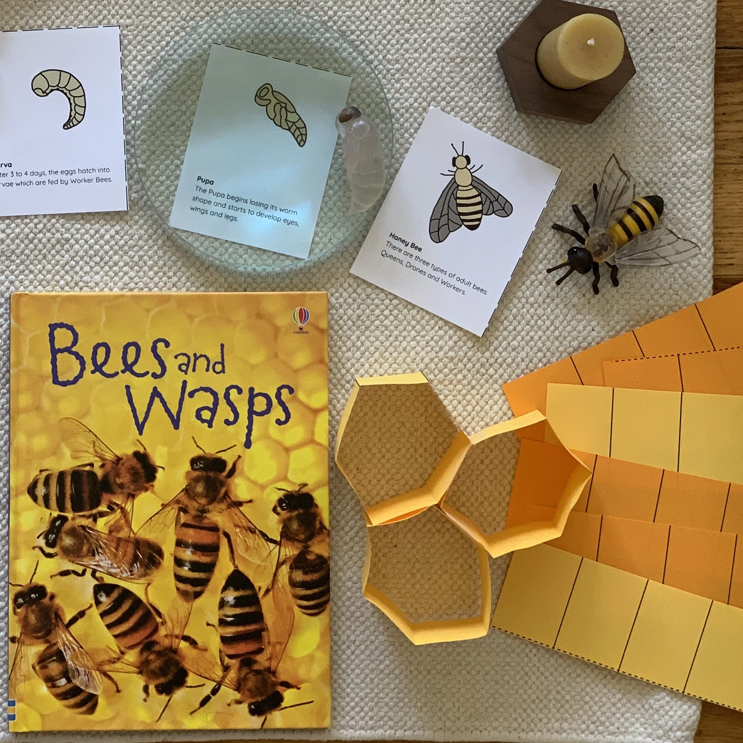 8DC30FDE-5D20-4FF6-BF6C-2638EBF25240