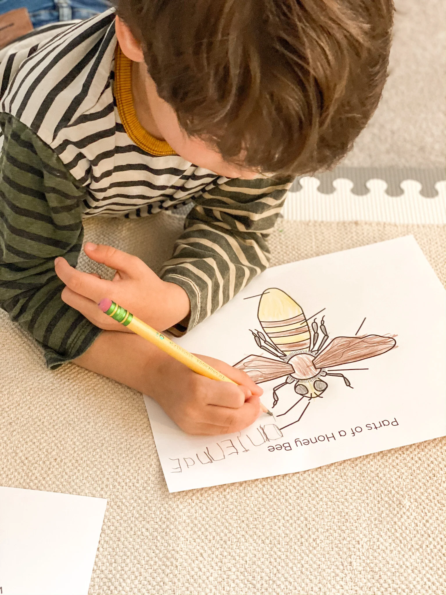 2AFFEC02-991E-48D6-A55C-6FD2EC5F428D