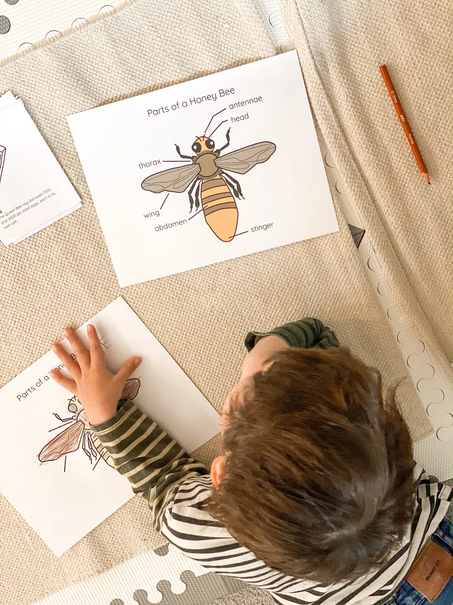 2A57DD7B-6F8D-480A-B388-91725B67848C