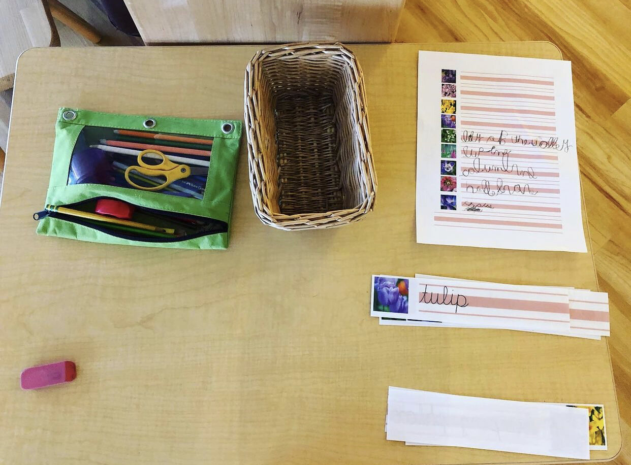 B5231274-99FF-47C0-8500-26939DDF30F6