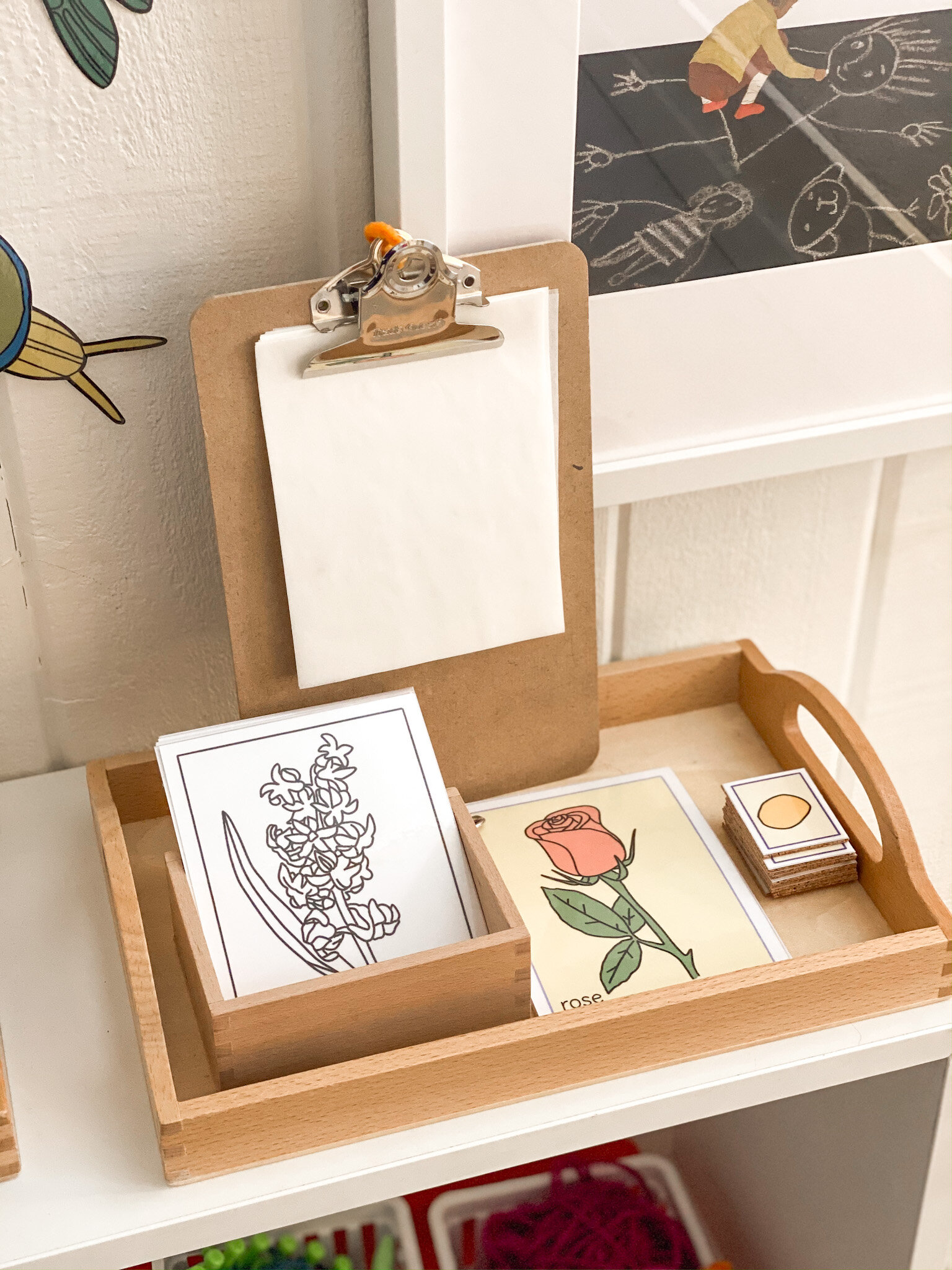 Flower Identification and Matching