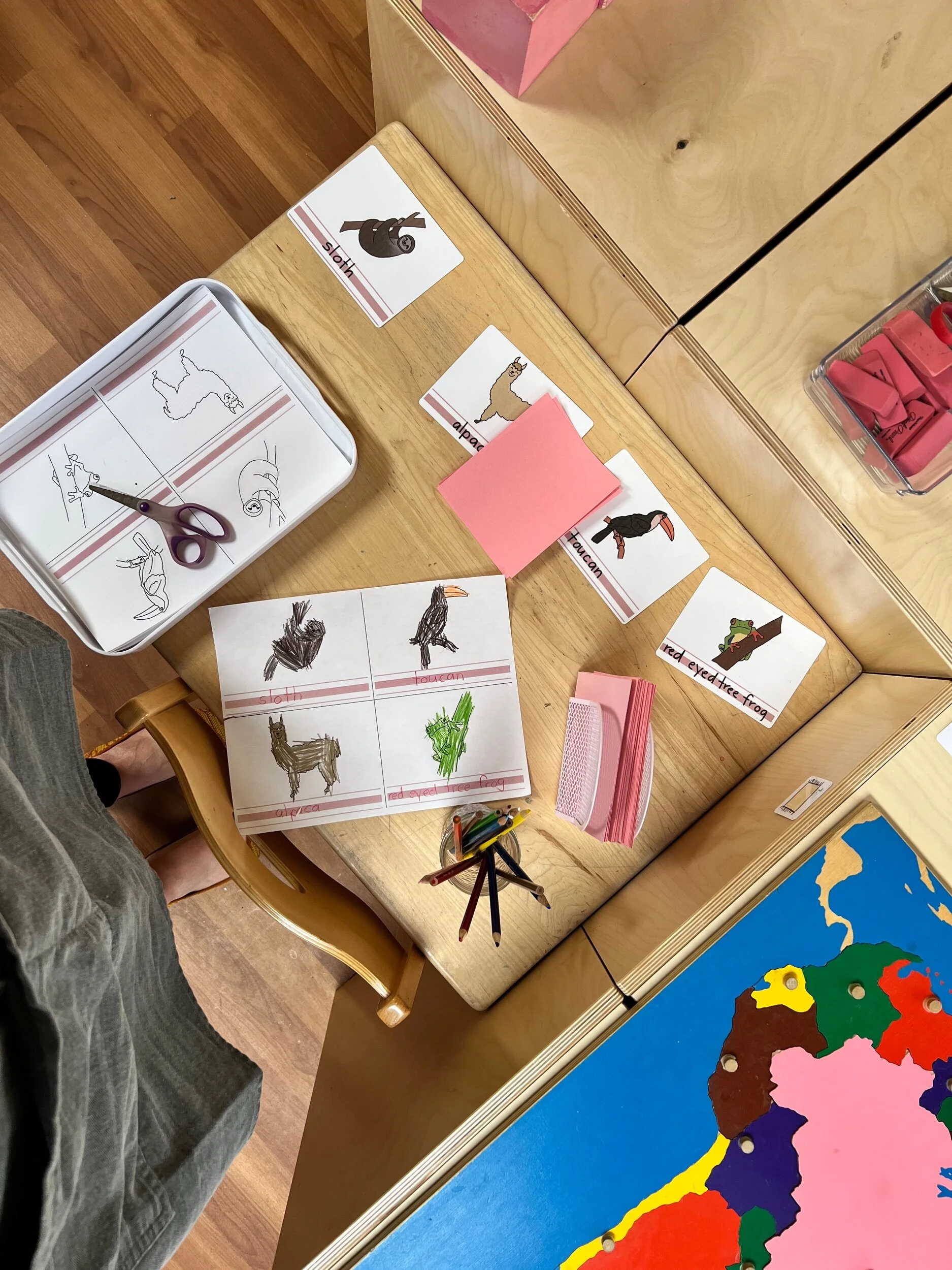 45750192-E240-4A0D-B9AB-8C8C21A61D40