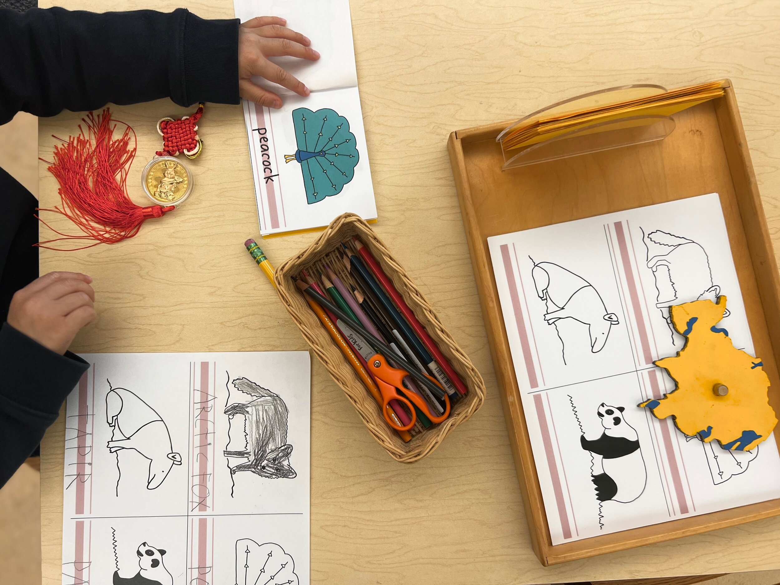 BD69286A-8C02-4FAC-B941-745B5D90ED3D