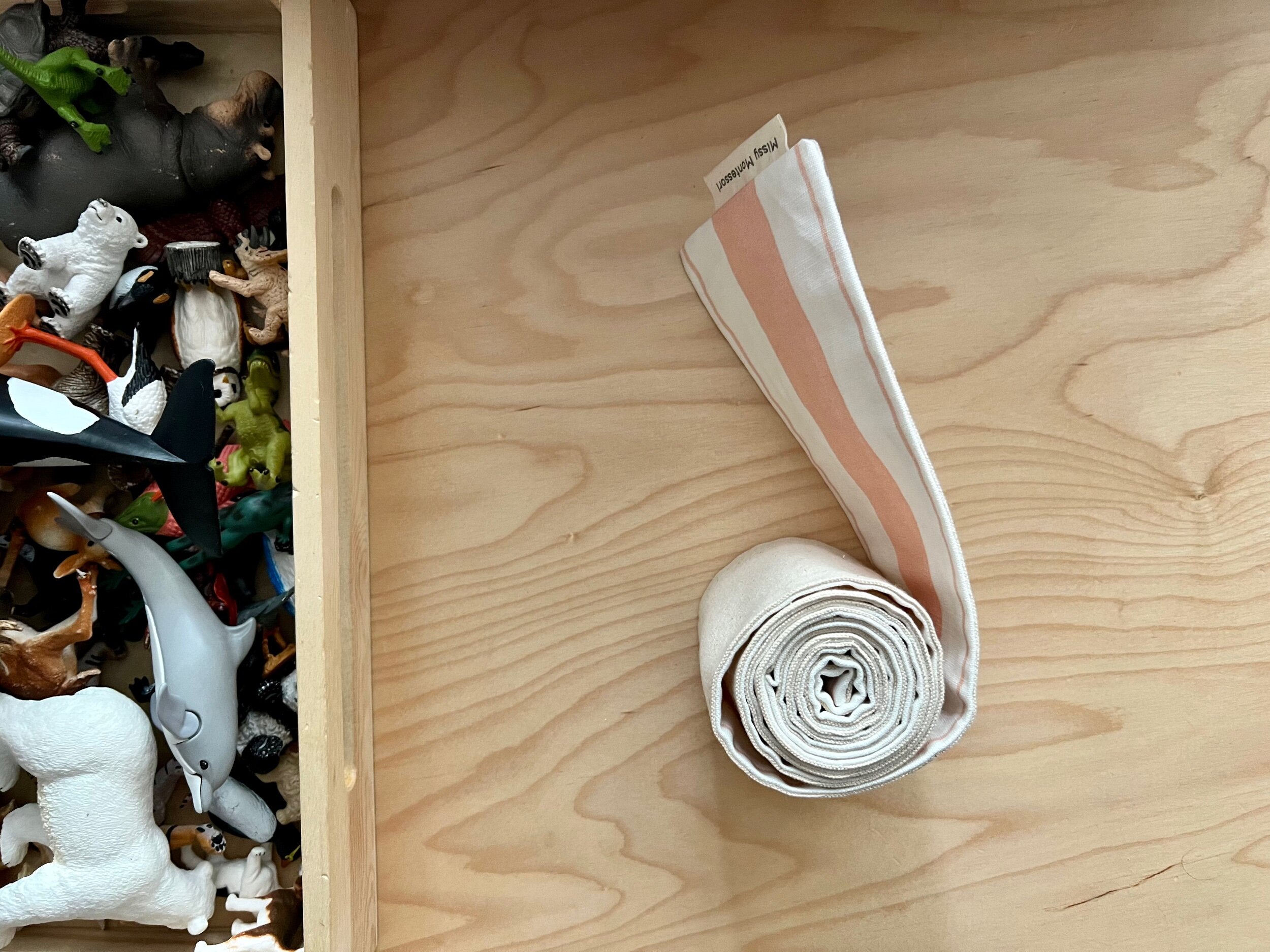 17A9E77A-DB59-4B56-A803-AD087C918AD5