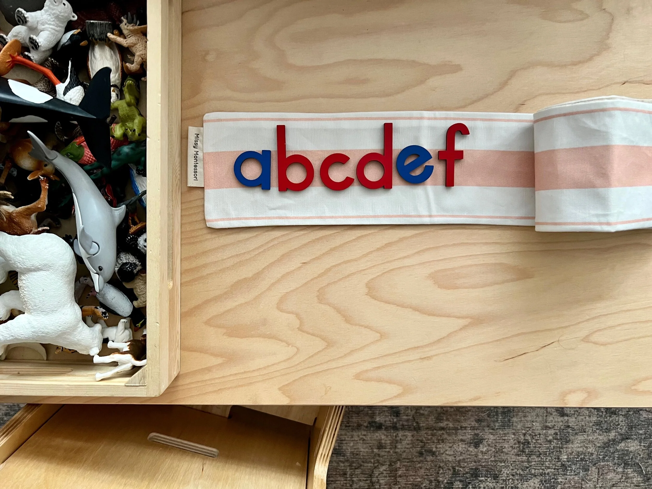 B5049F6E-A99A-4DD1-A884-4CF6DDE89AD3