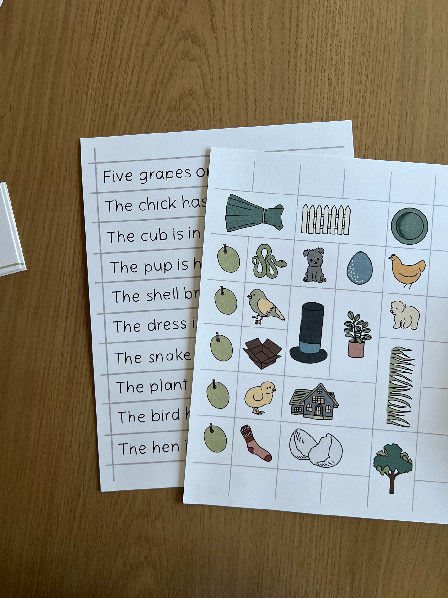 Phonetic Command Cards IV