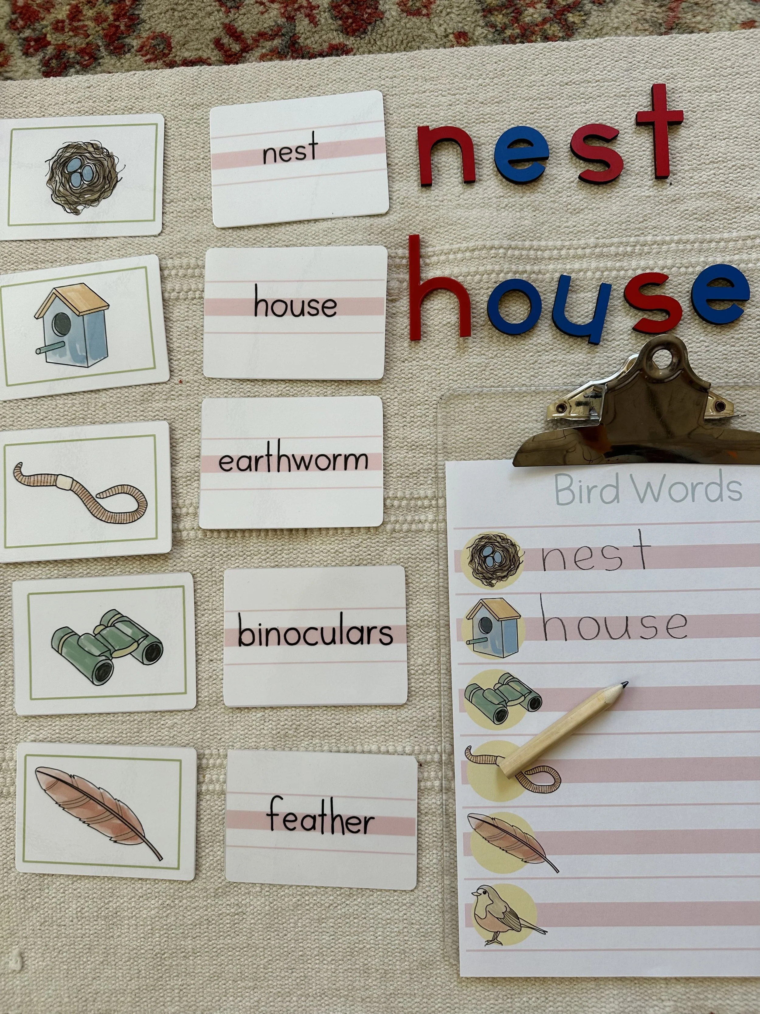 Bird Word Writing