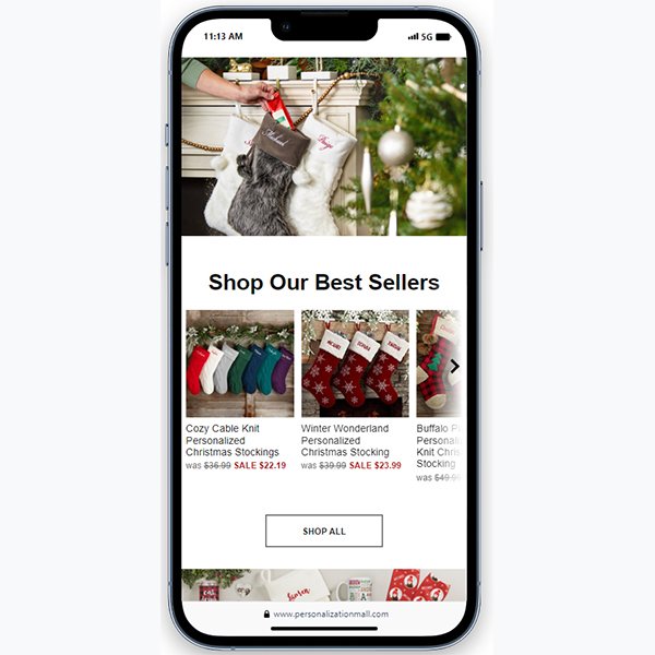 Web: Ecommerce Store Design