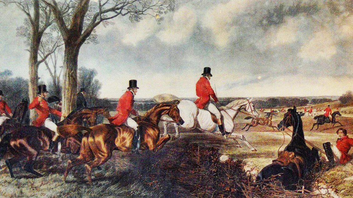 Horses in Surry and Sussex 