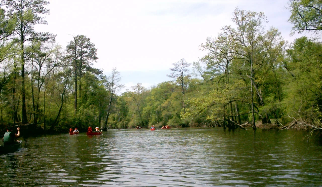 Tales from Blackwater Swamp