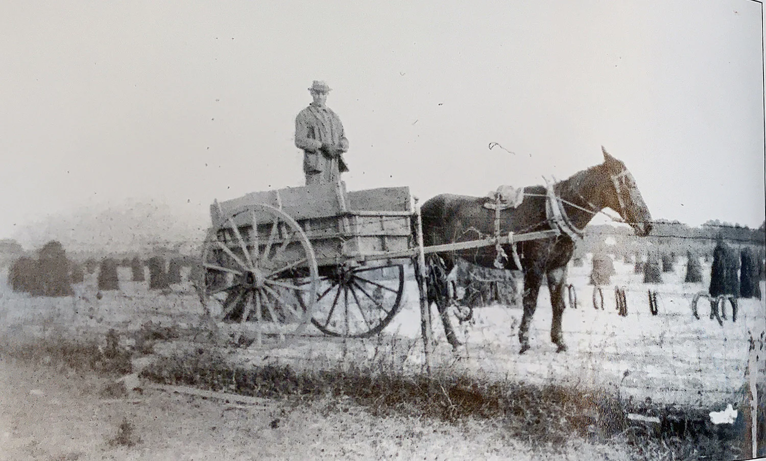 Workers on the Savedge Farm in Surry County, Virginia are loading a carat with peanut vines and moving them to the peanut-picking machine. Image courtesy of Mary Alma Savedge.