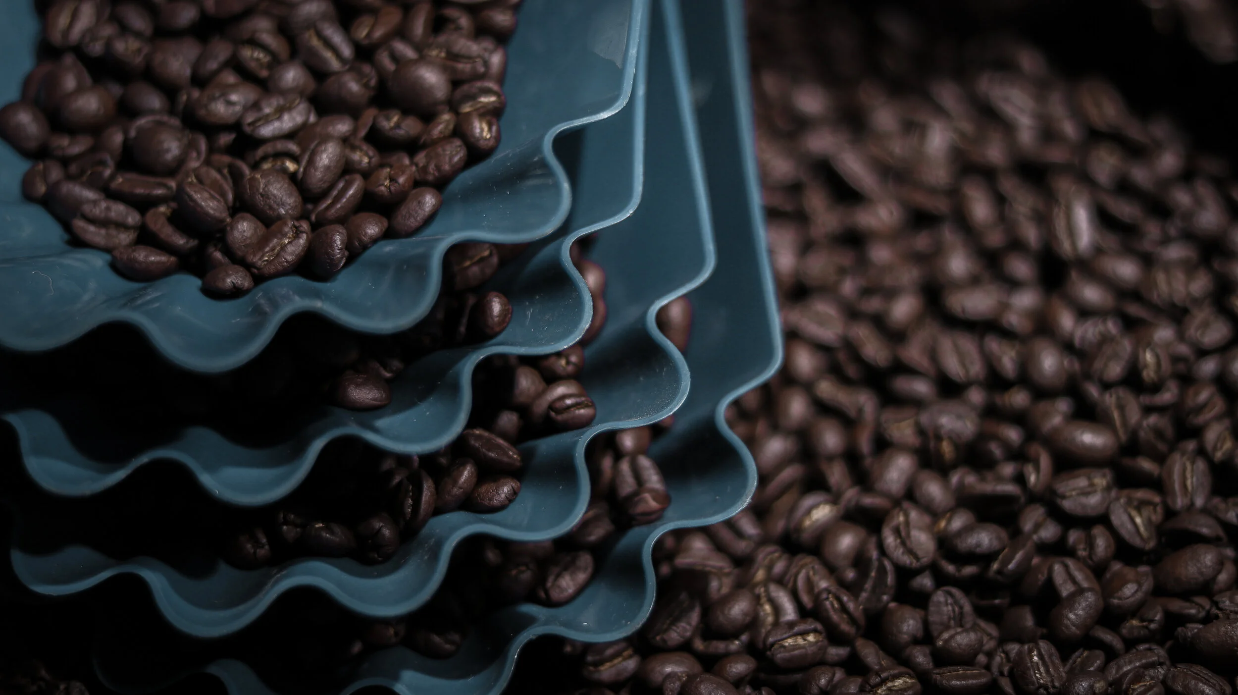 เมล็ดกาแฟคั่ว.jpg
