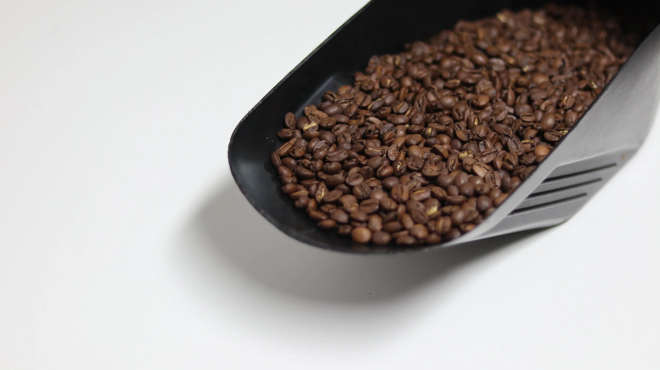 roaster coffee.JPG