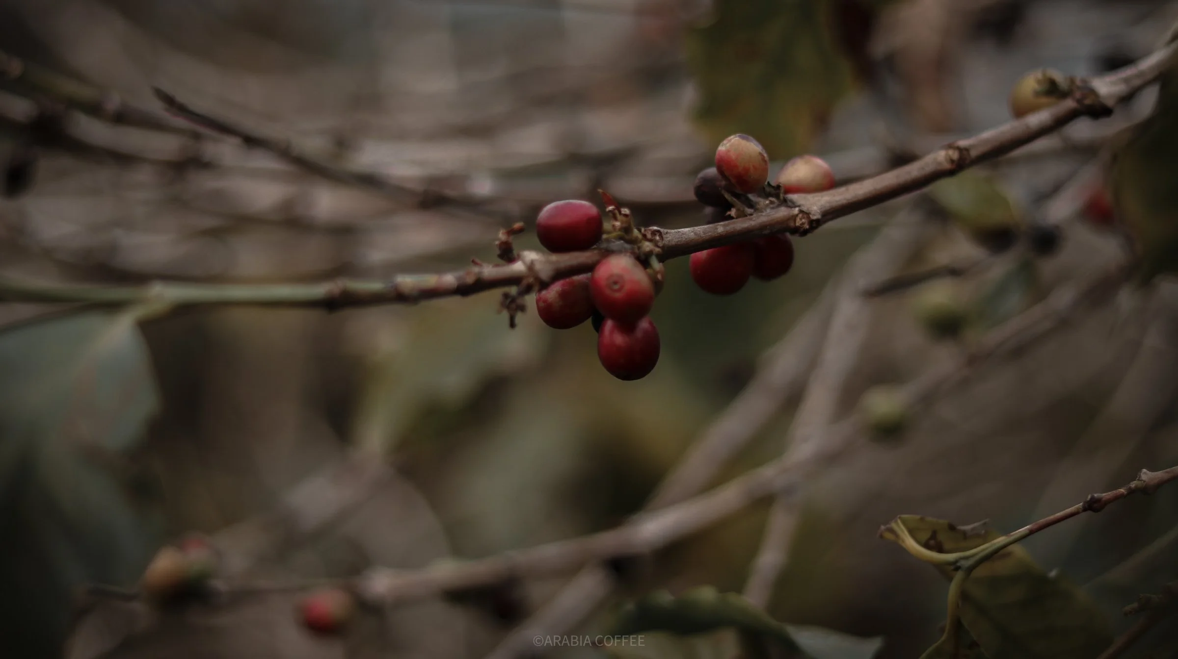 F3AA1A62-13A0-479B-A60D-6368F8BF16B3.jpeg