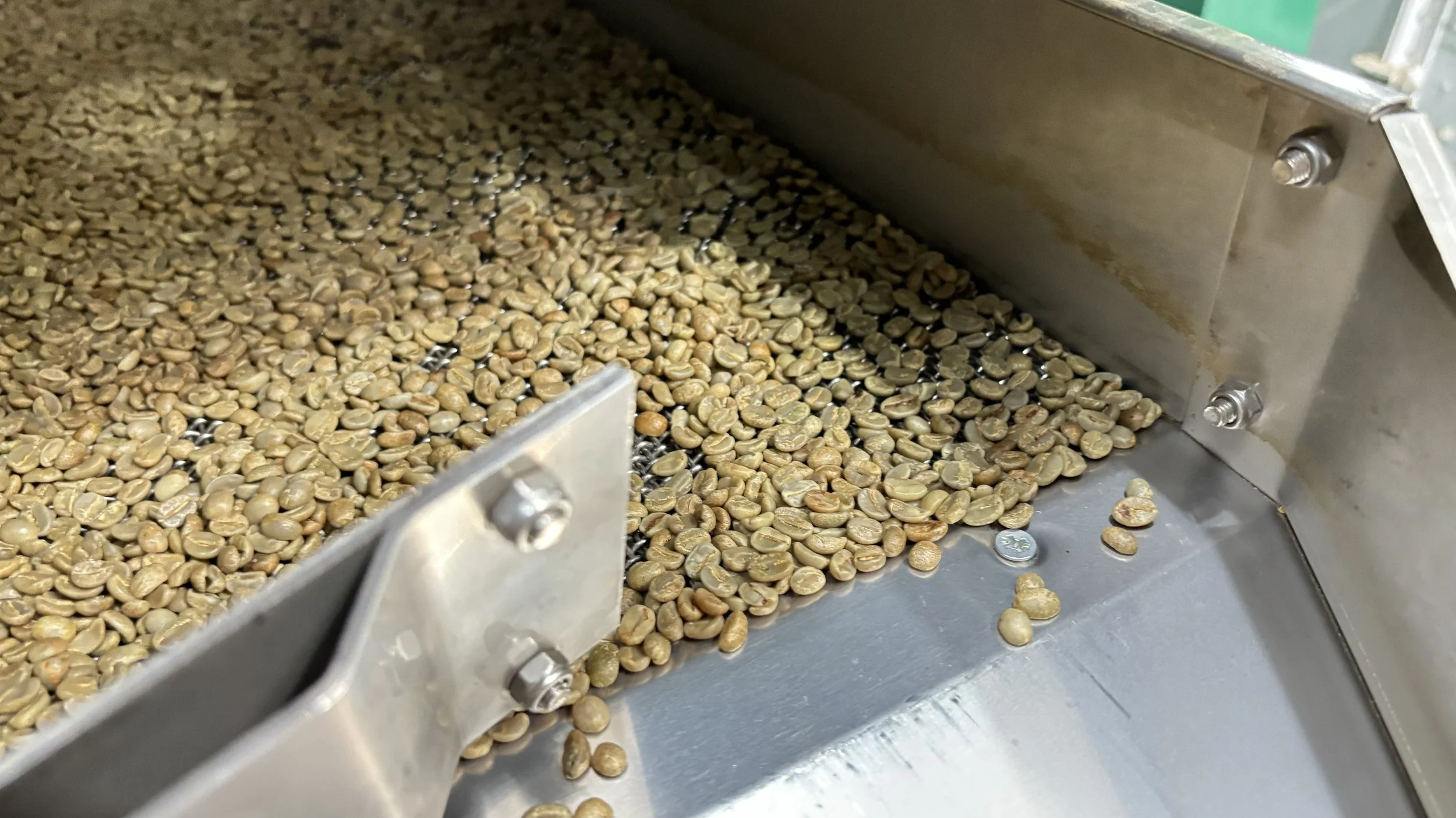 IMG_3042.jpeg